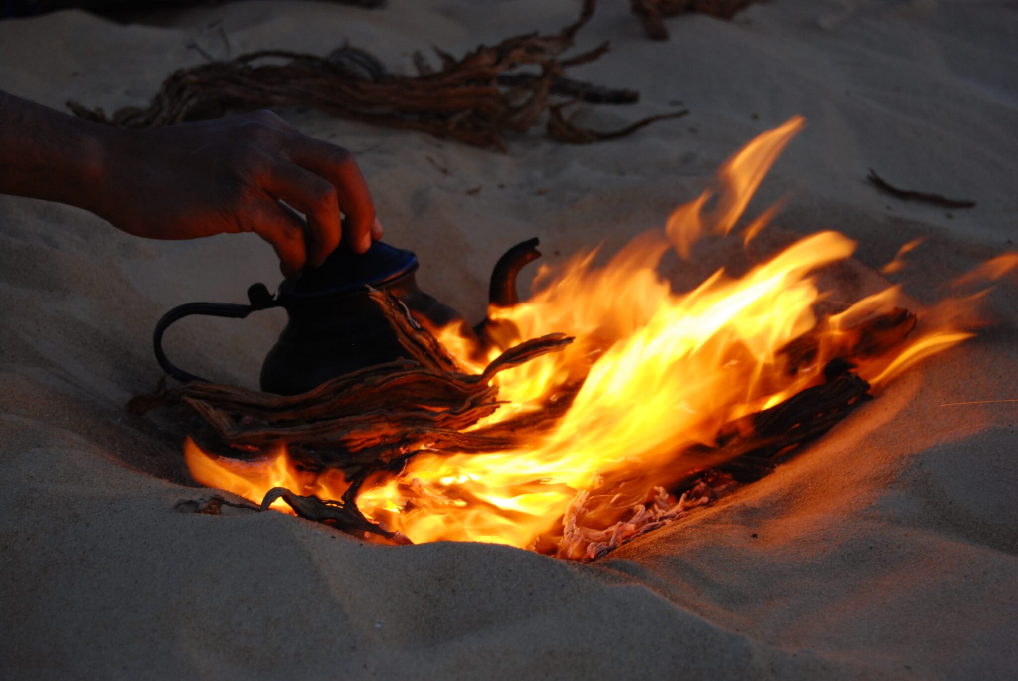 Egyptian Luxury - horseXperiences™ GO EQUESTRIAN