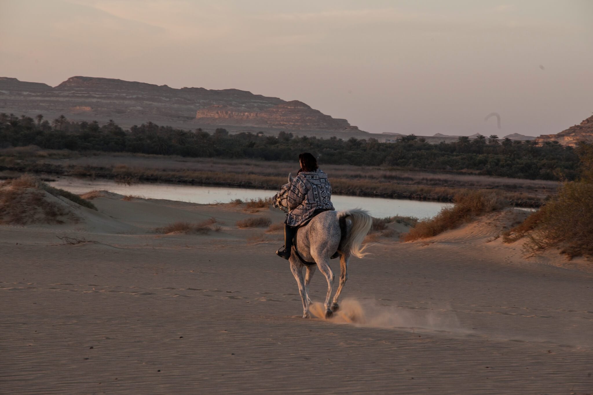 Egyptian Luxury - horseXperiences™ GO EQUESTRIAN