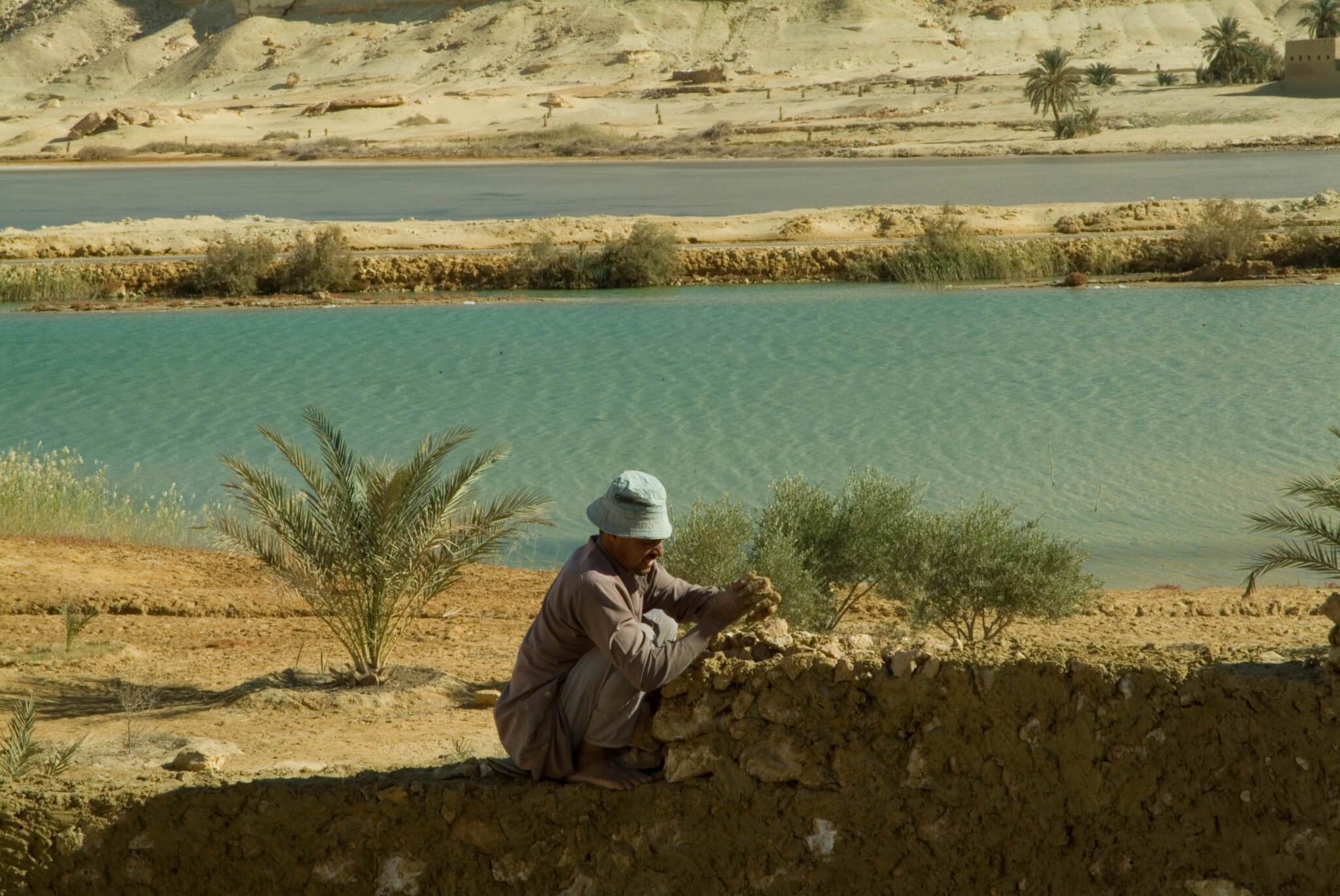 Egyptian Luxury - horseXperiences™ GO EQUESTRIAN