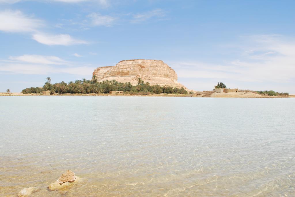 Egyptian Luxury - horseXperiences™ GO EQUESTRIAN