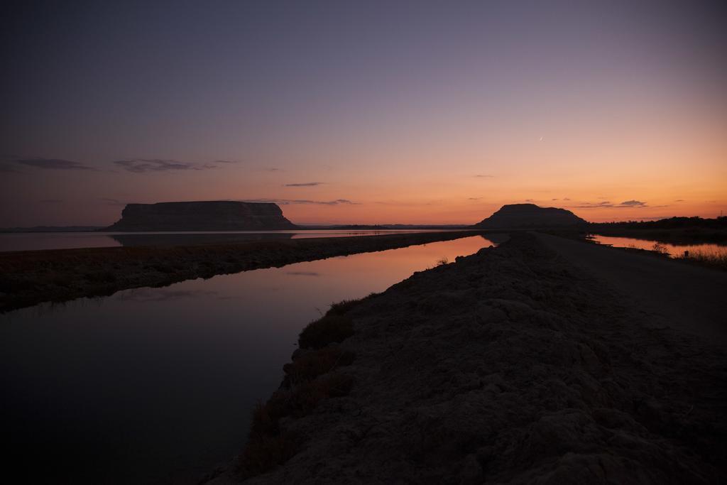 Egyptian Luxury - horseXperiences™ GO EQUESTRIAN