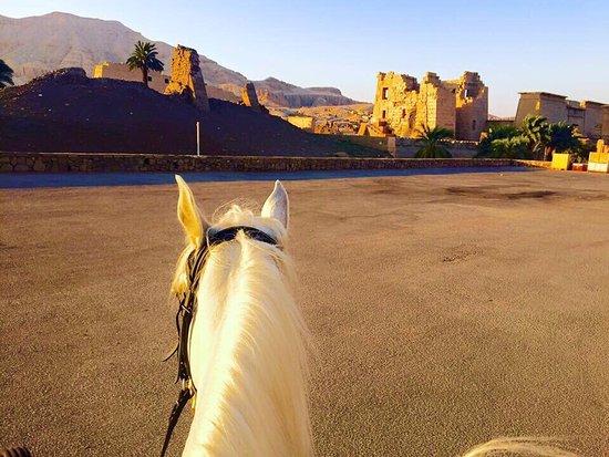 Egyptian Luxury - horseXperiences™ GO EQUESTRIAN