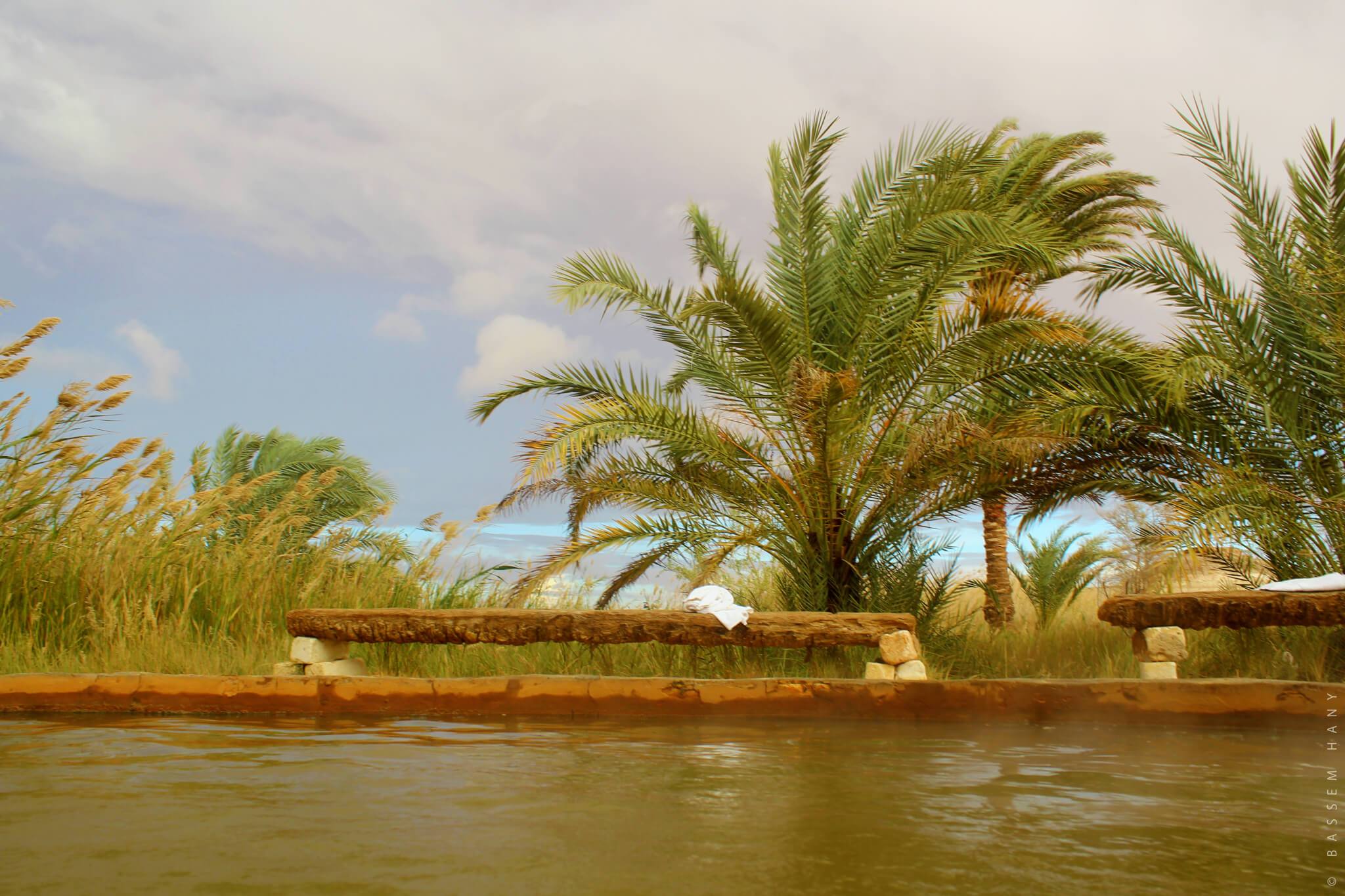 Egyptian Luxury - horseXperiences™ GO EQUESTRIAN