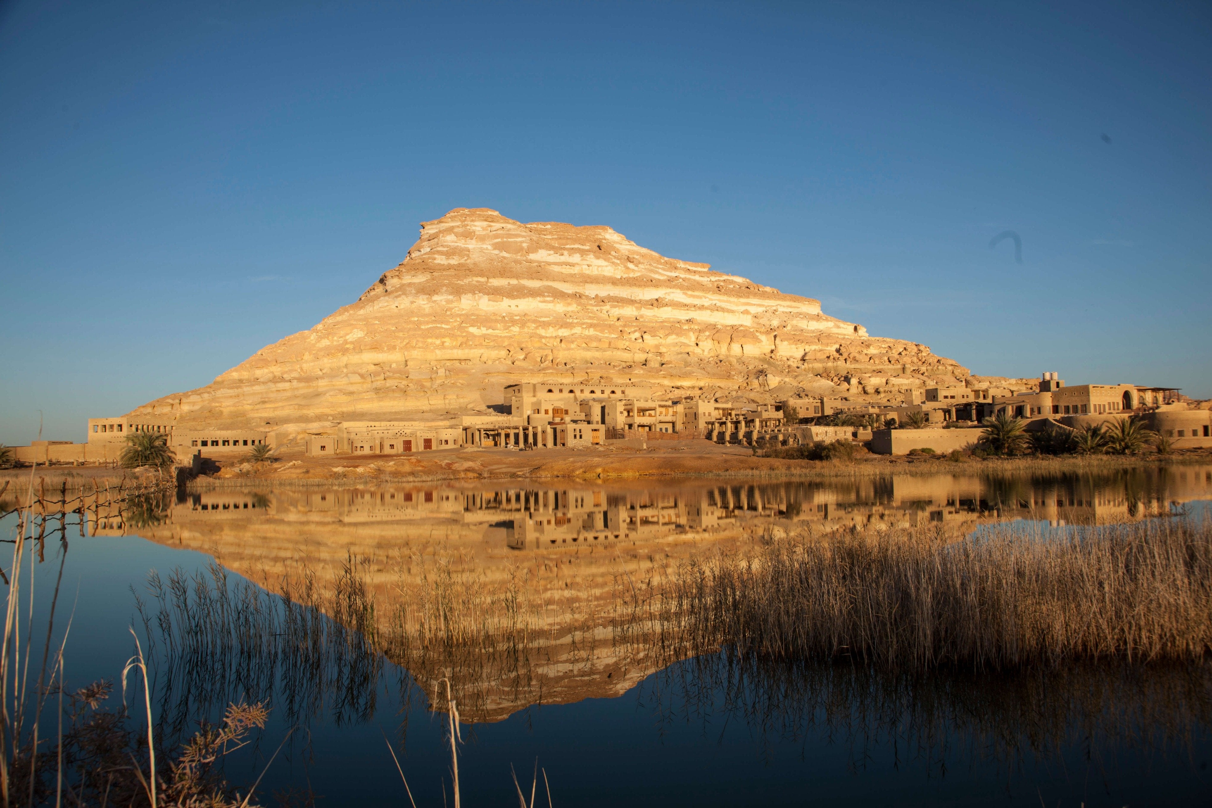 Egyptian Luxury - horseXperiences™ GO EQUESTRIAN