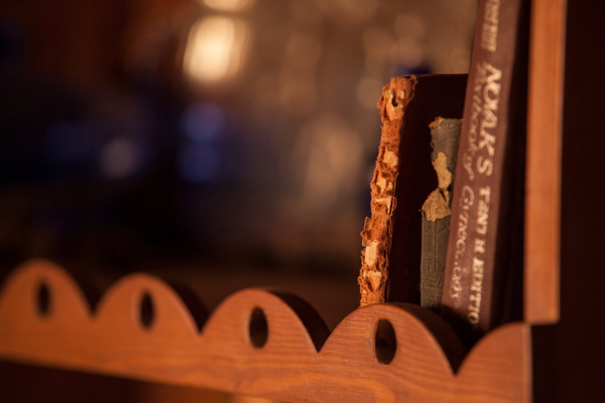 Egyptian Luxury - horseXperiences™ GO EQUESTRIAN