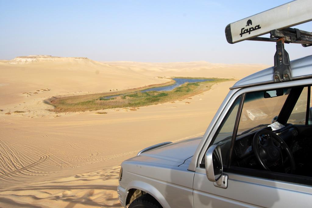 Egyptian Luxury - horseXperiences™ GO EQUESTRIAN