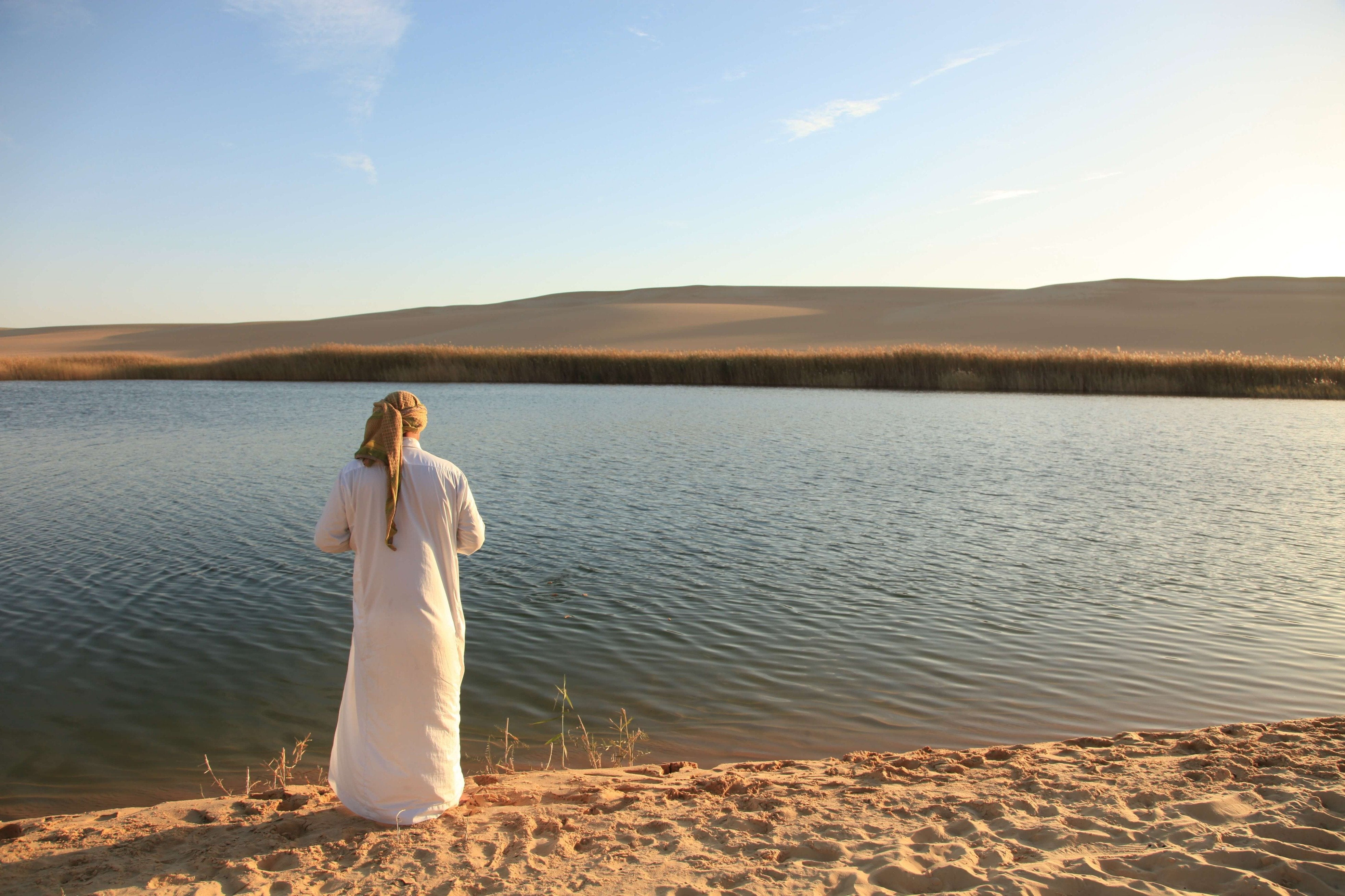 Egyptian Luxury - horseXperiences™ GO EQUESTRIAN