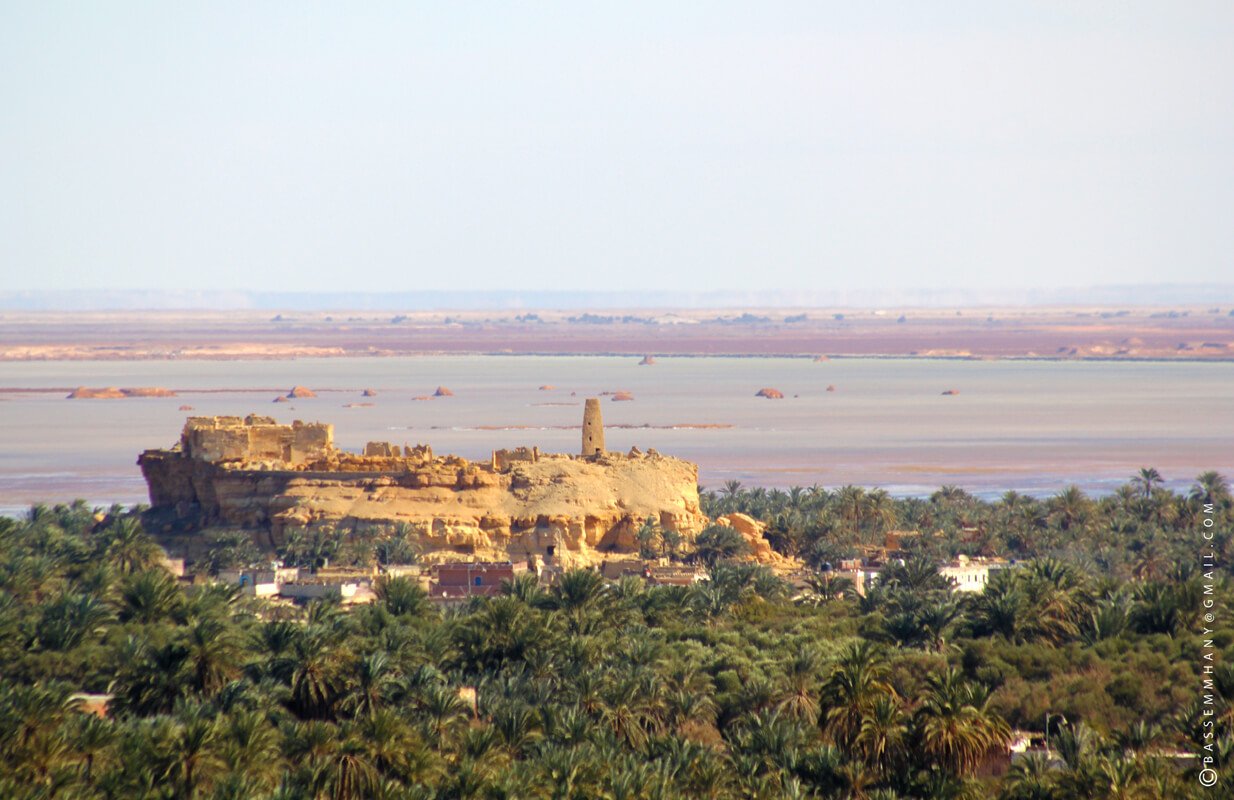 Egyptian Luxury - horseXperiences™ GO EQUESTRIAN