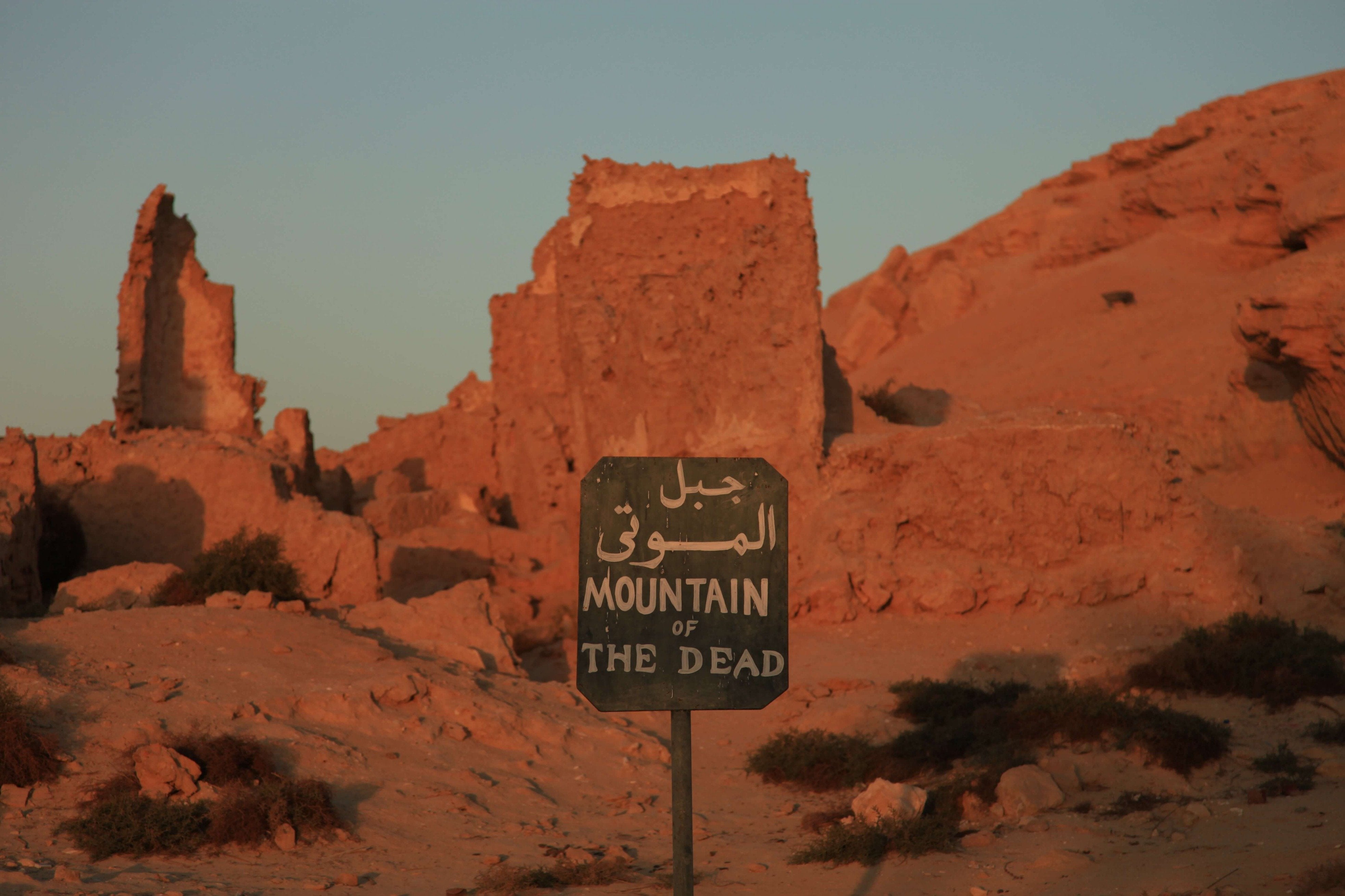 Egyptian Luxury - horseXperiences™ GO EQUESTRIAN