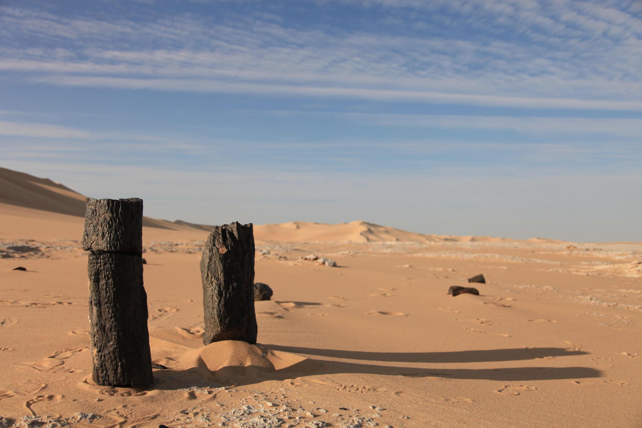 Egyptian Luxury - horseXperiences™ GO EQUESTRIAN