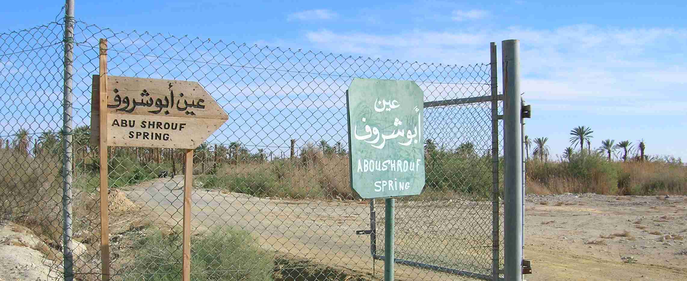 Egyptian Luxury - horseXperiences™ GO EQUESTRIAN