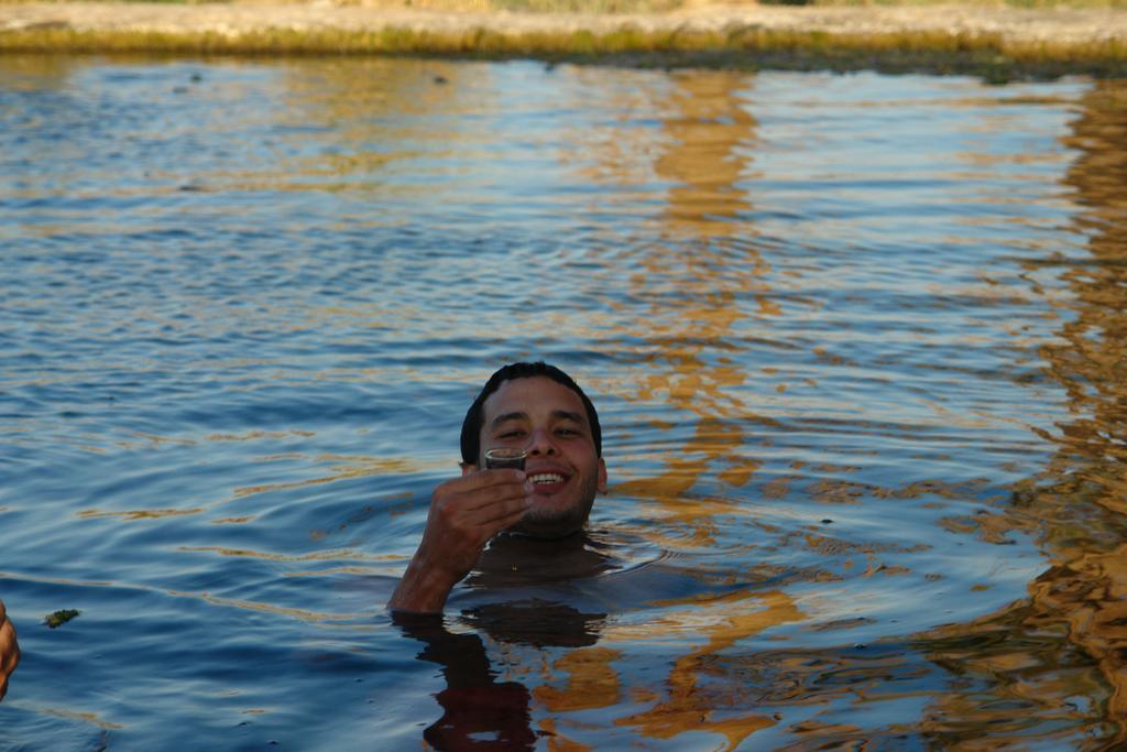 Egyptian Luxury - horseXperiences™ GO EQUESTRIAN