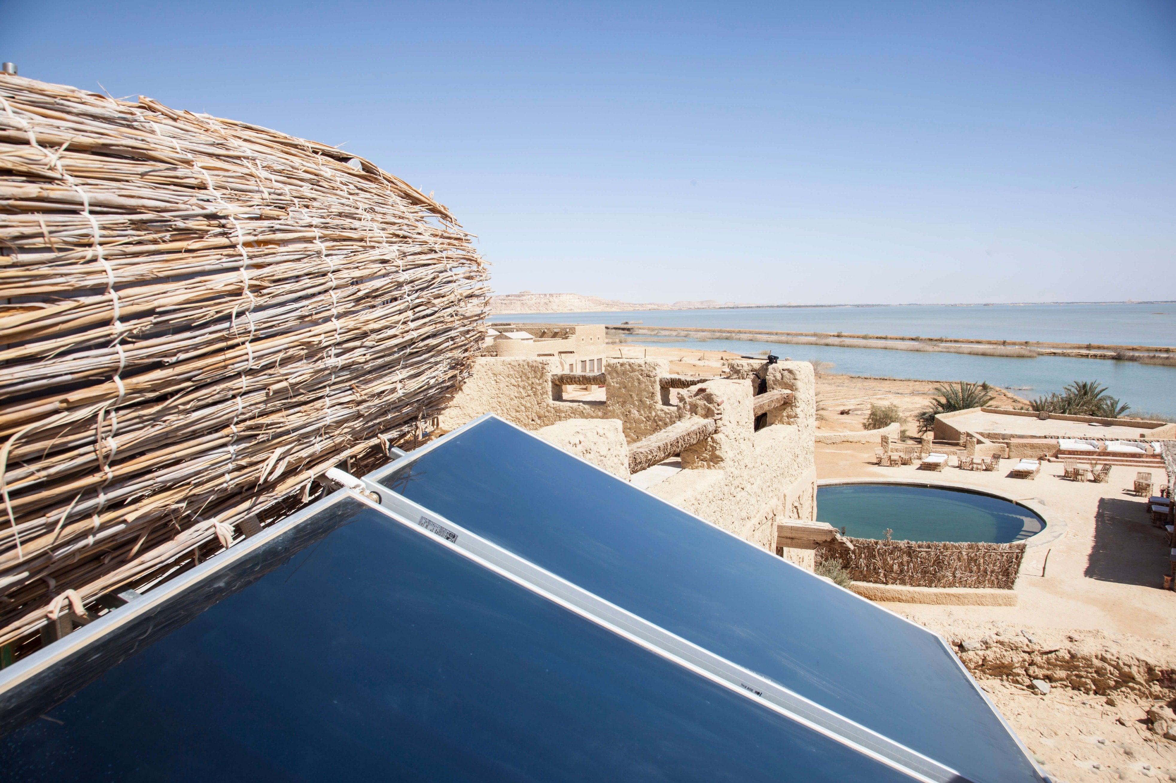 Egyptian Luxury - horseXperiences™ GO EQUESTRIAN