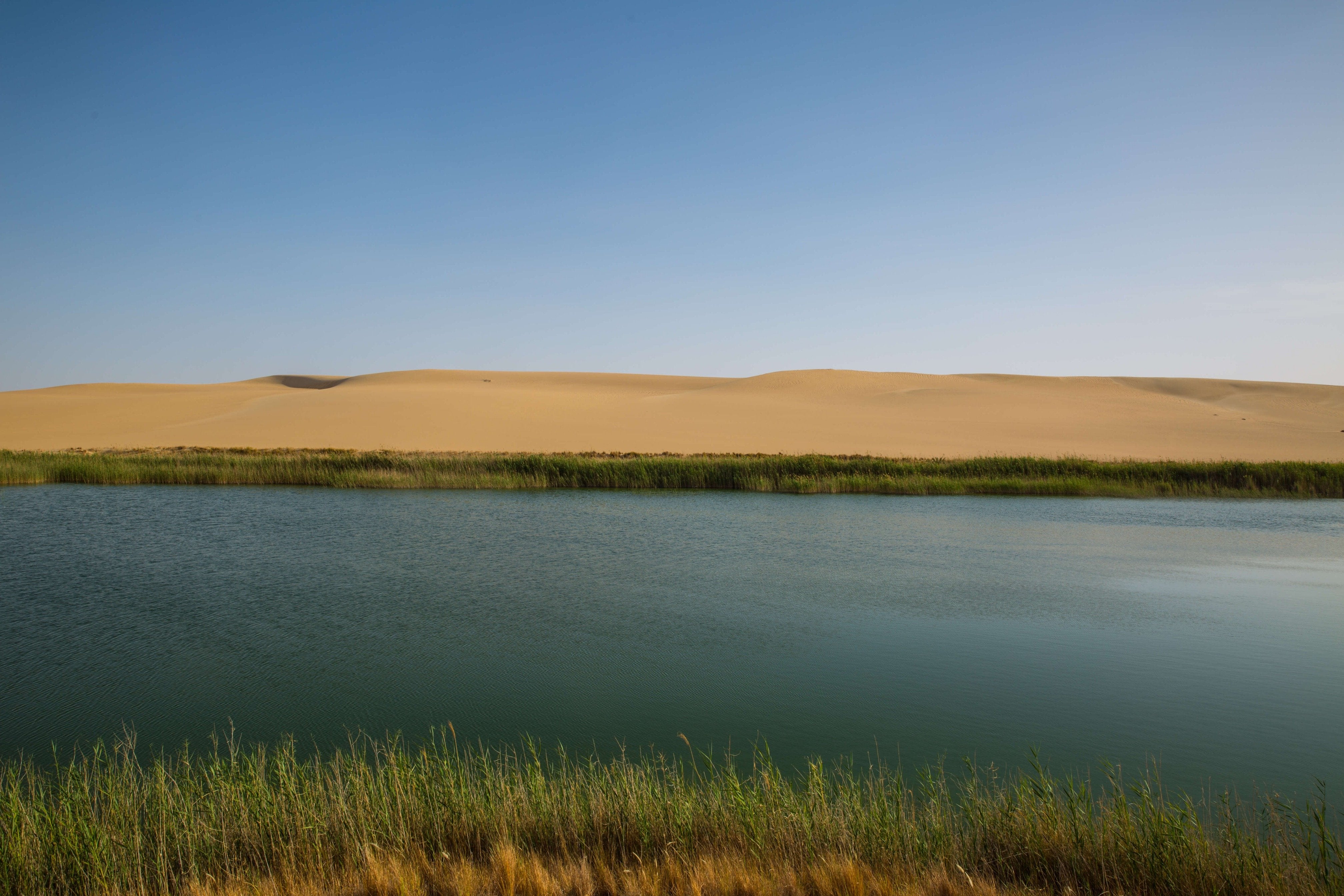 Egyptian Luxury - horseXperiences™ GO EQUESTRIAN