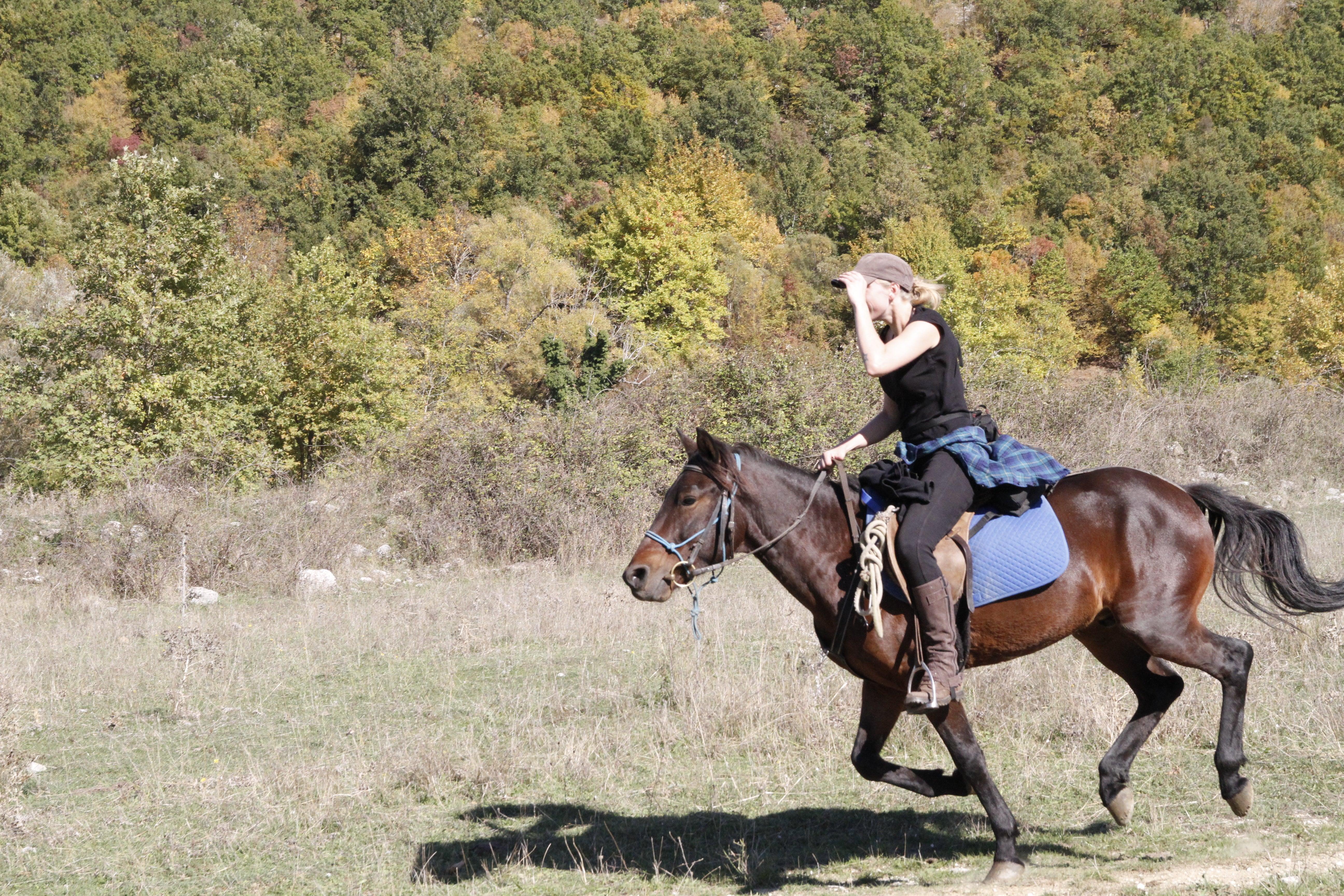 Following Zagoria Pathways - horseXperiences™ GO EQUESTRIAN