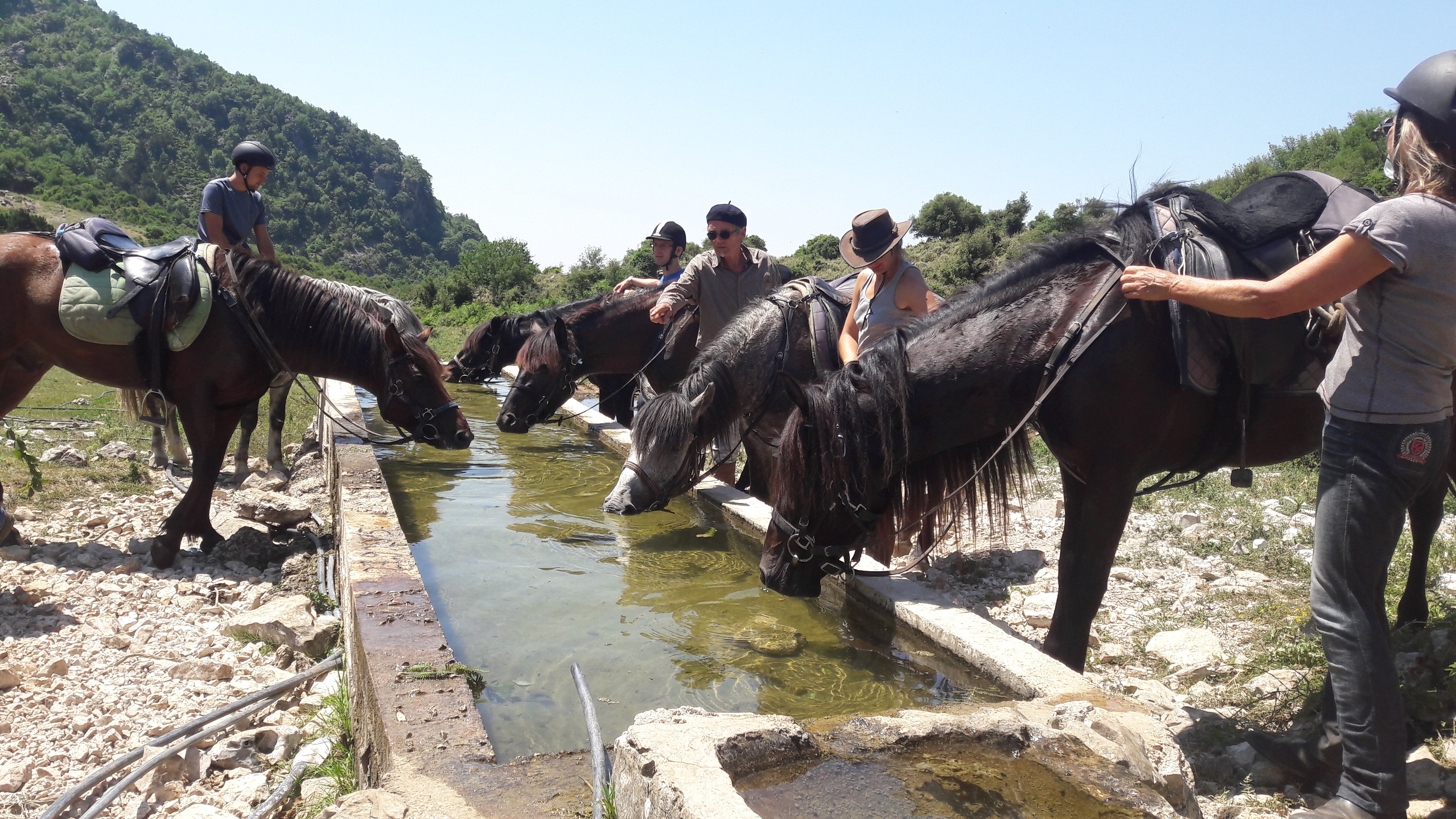 King Skerdilajdi's Army Route