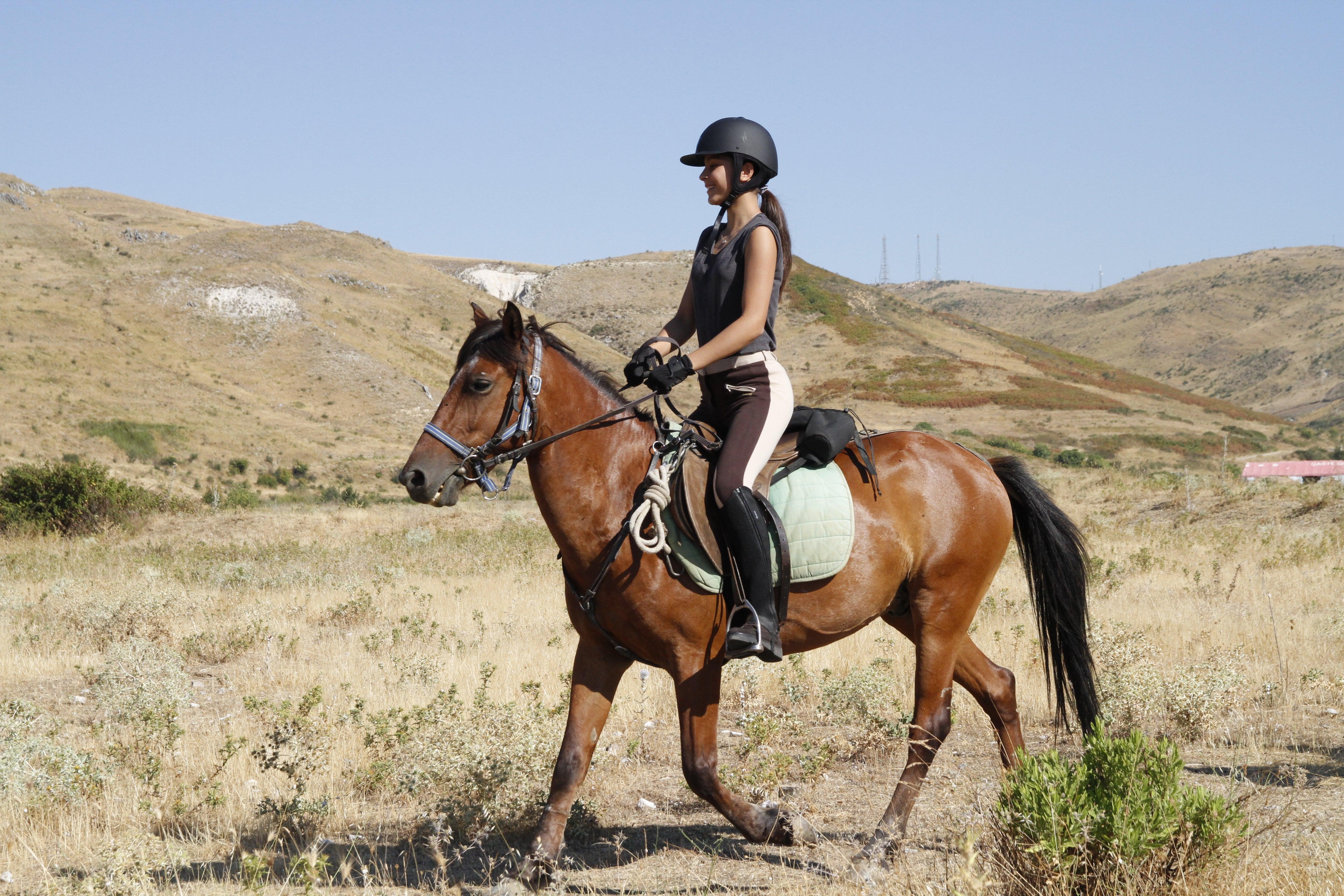 Following Zagoria Pathways - horseXperiences™ GO EQUESTRIAN