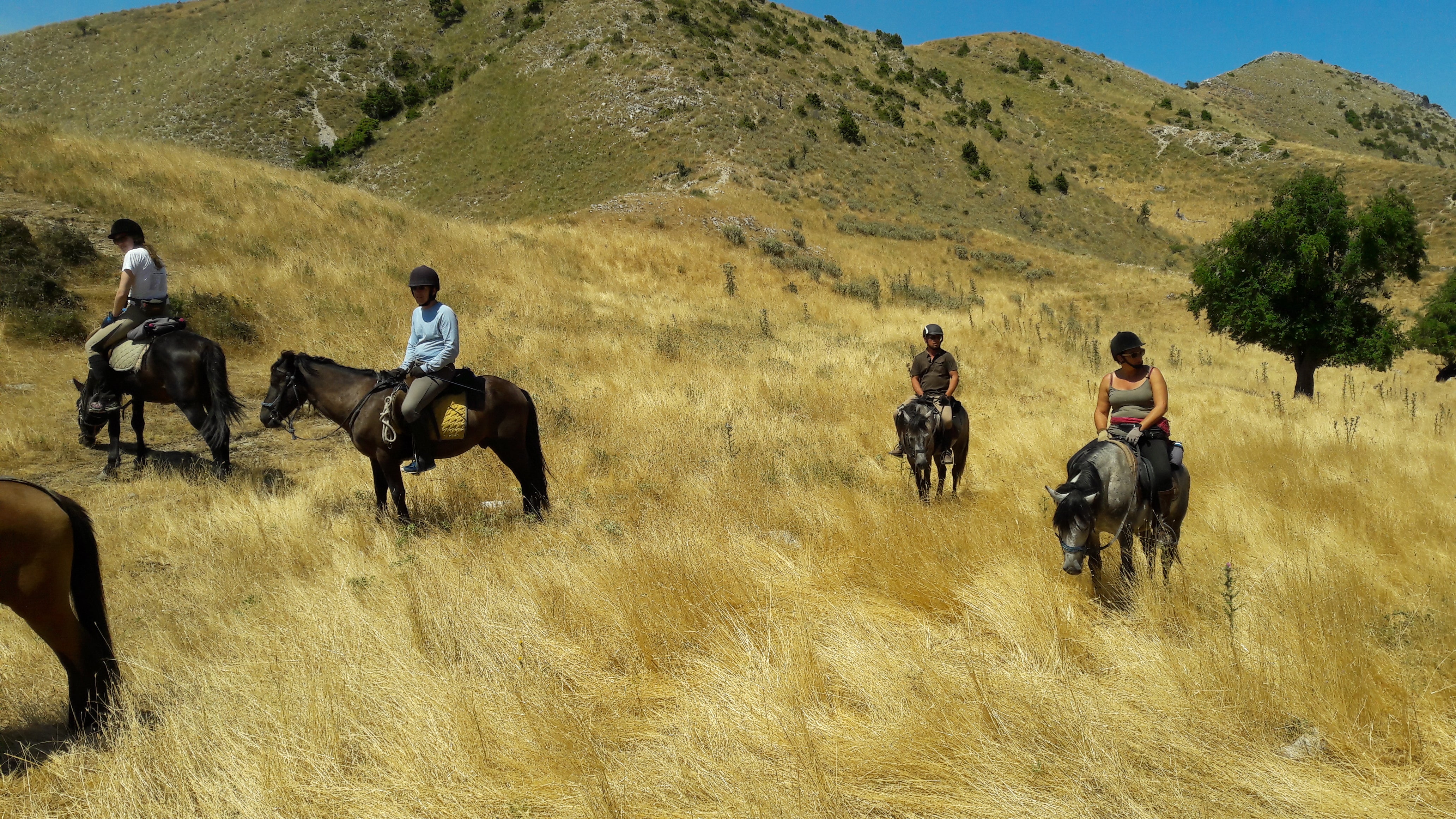 King Skerdilajdi's Army Route