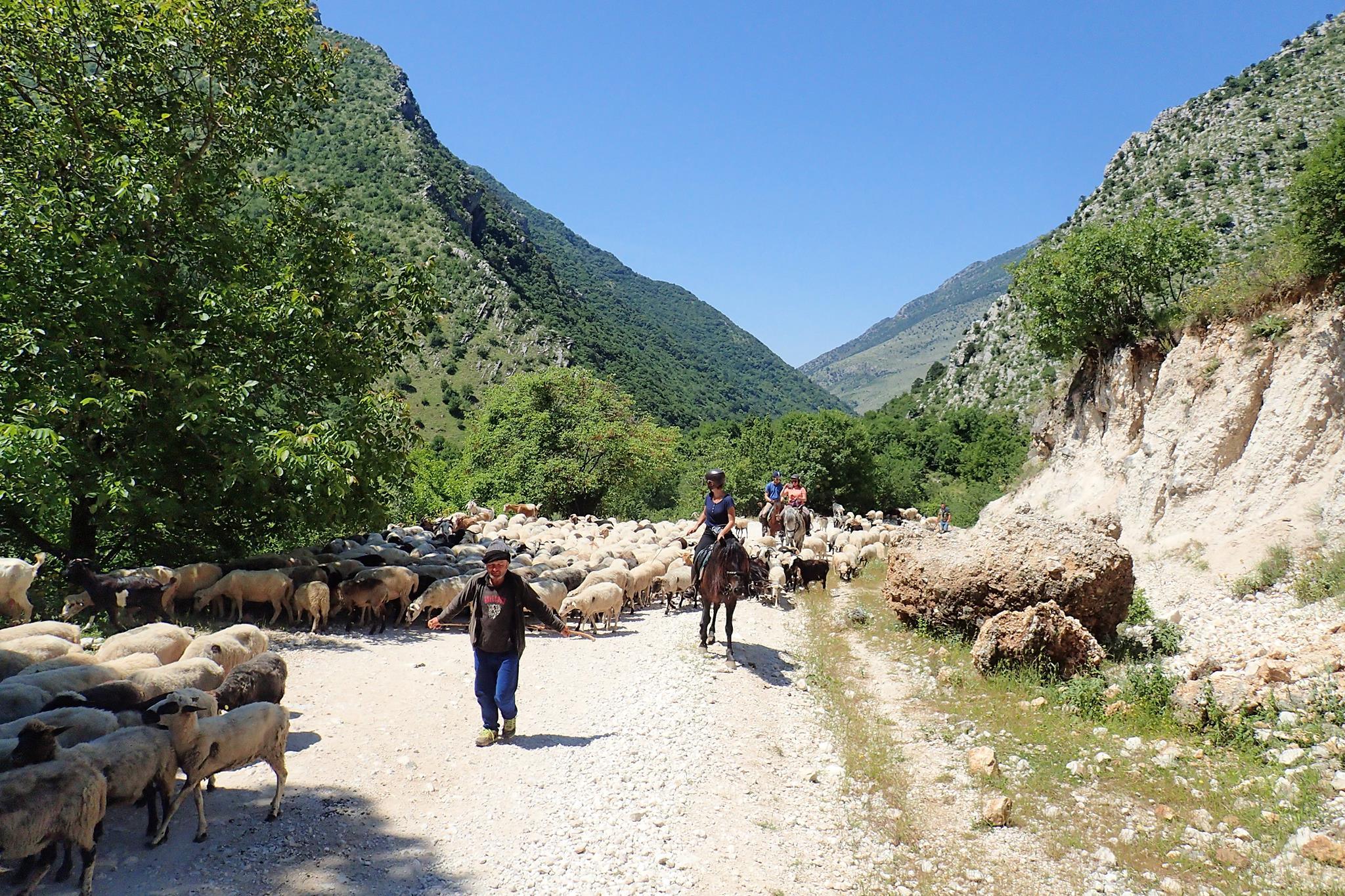Following Zagoria Pathways - horseXperiences™ GO EQUESTRIAN