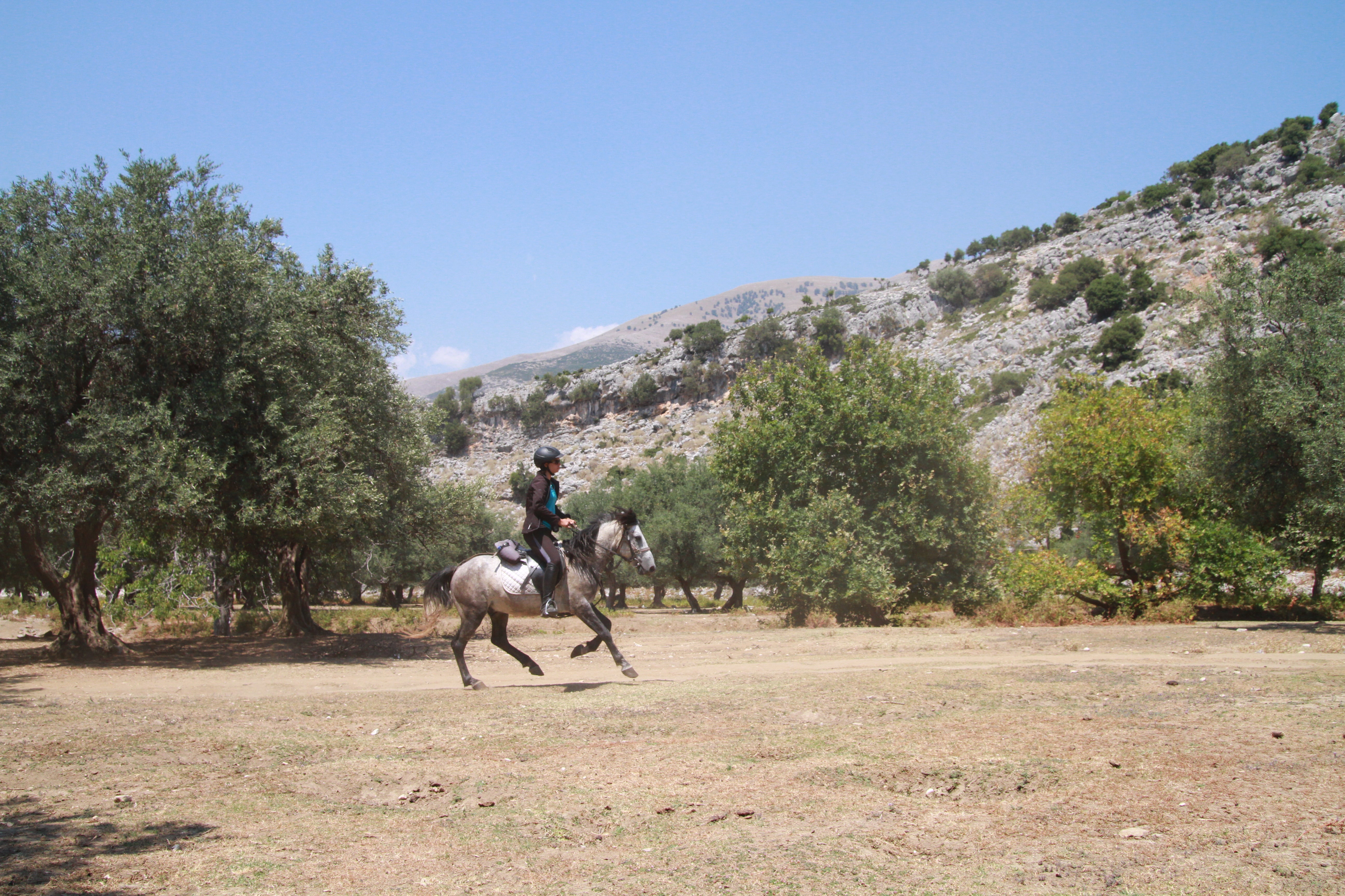King Skerdilajdi's Army Route