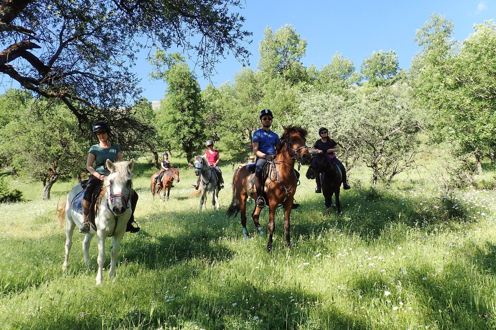 Following Zagoria Pathways - horseXperiences™ GO EQUESTRIAN