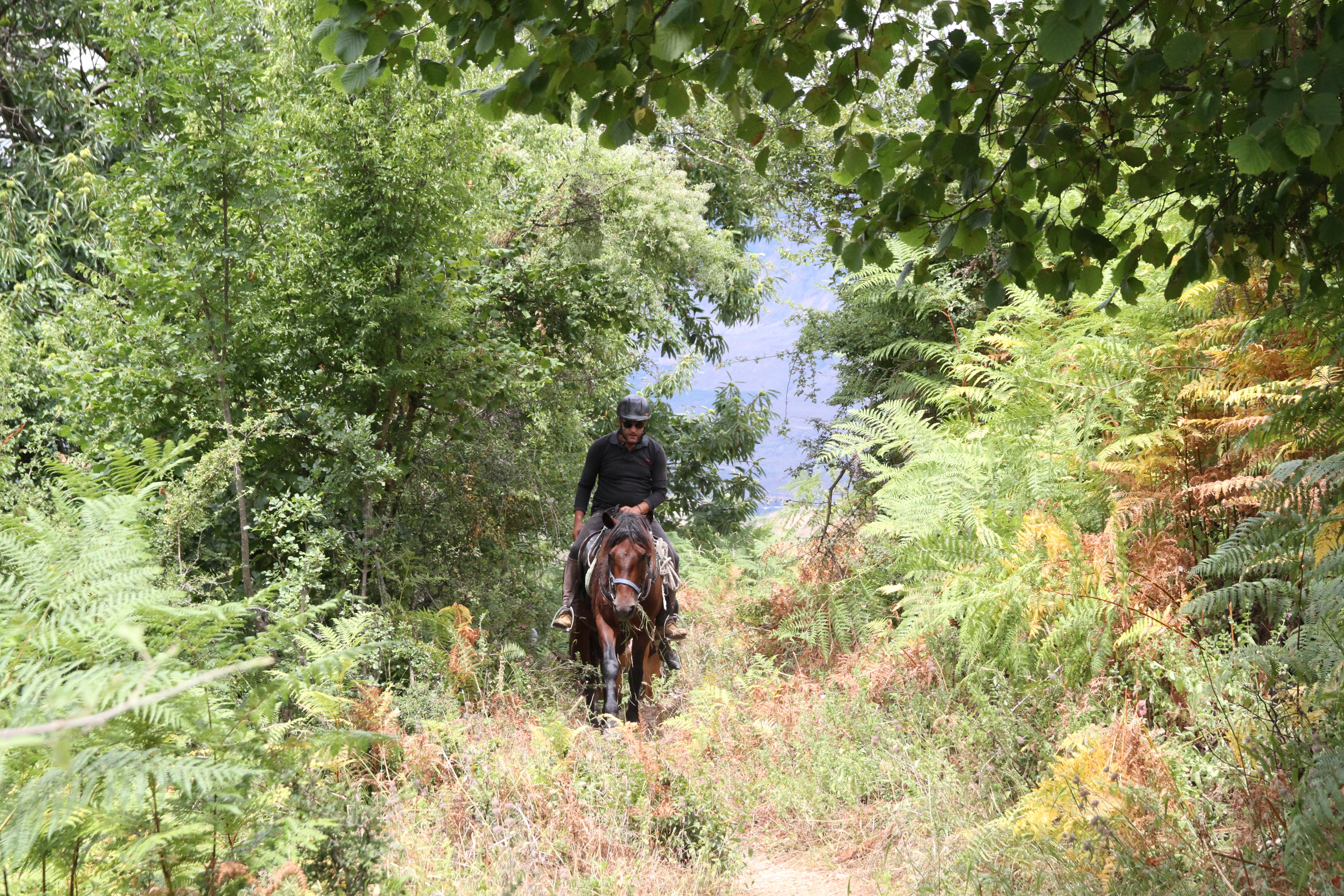 King Skerdilajdi's Army Route