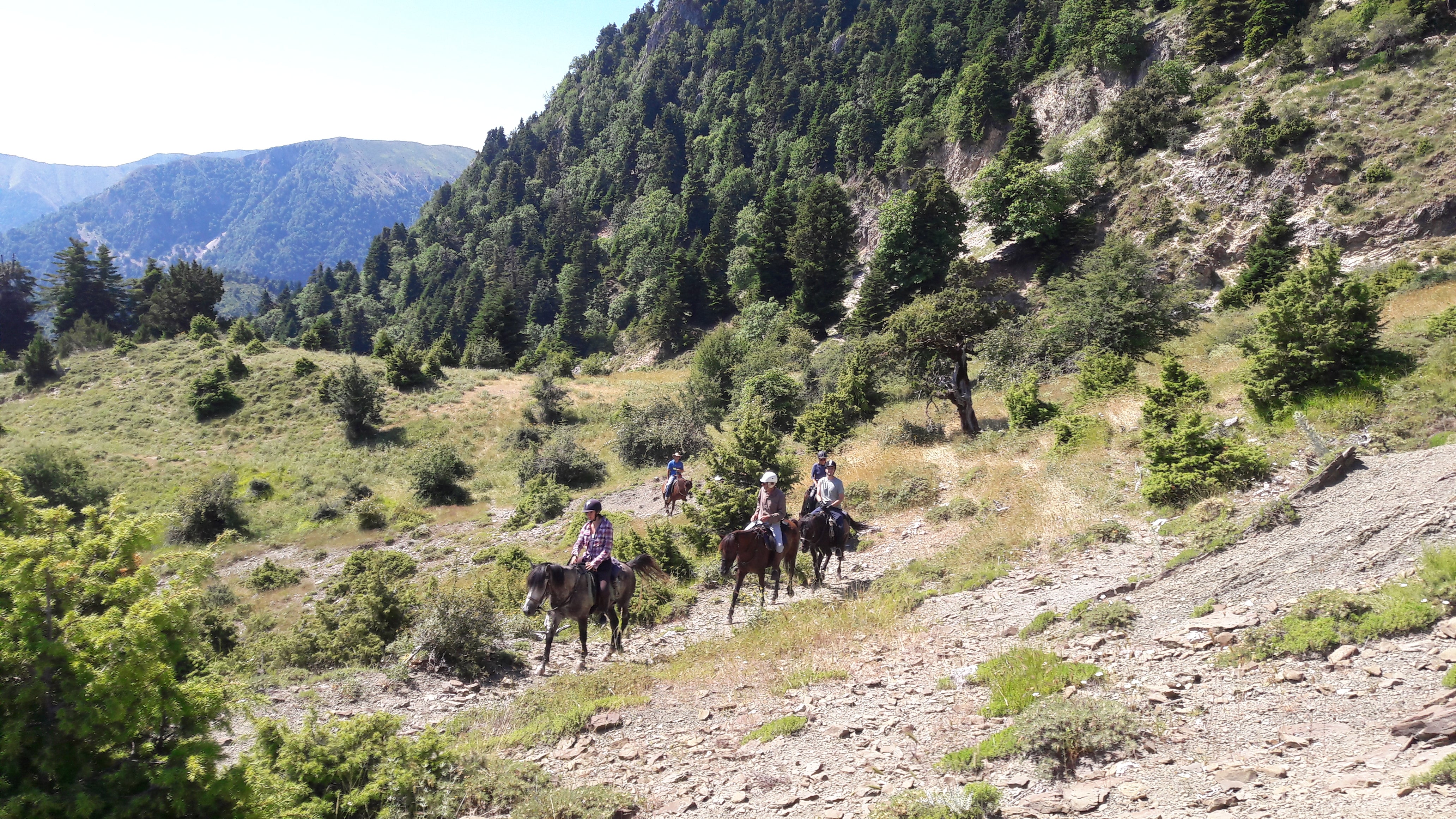 King Skerdilajdi's Army Route