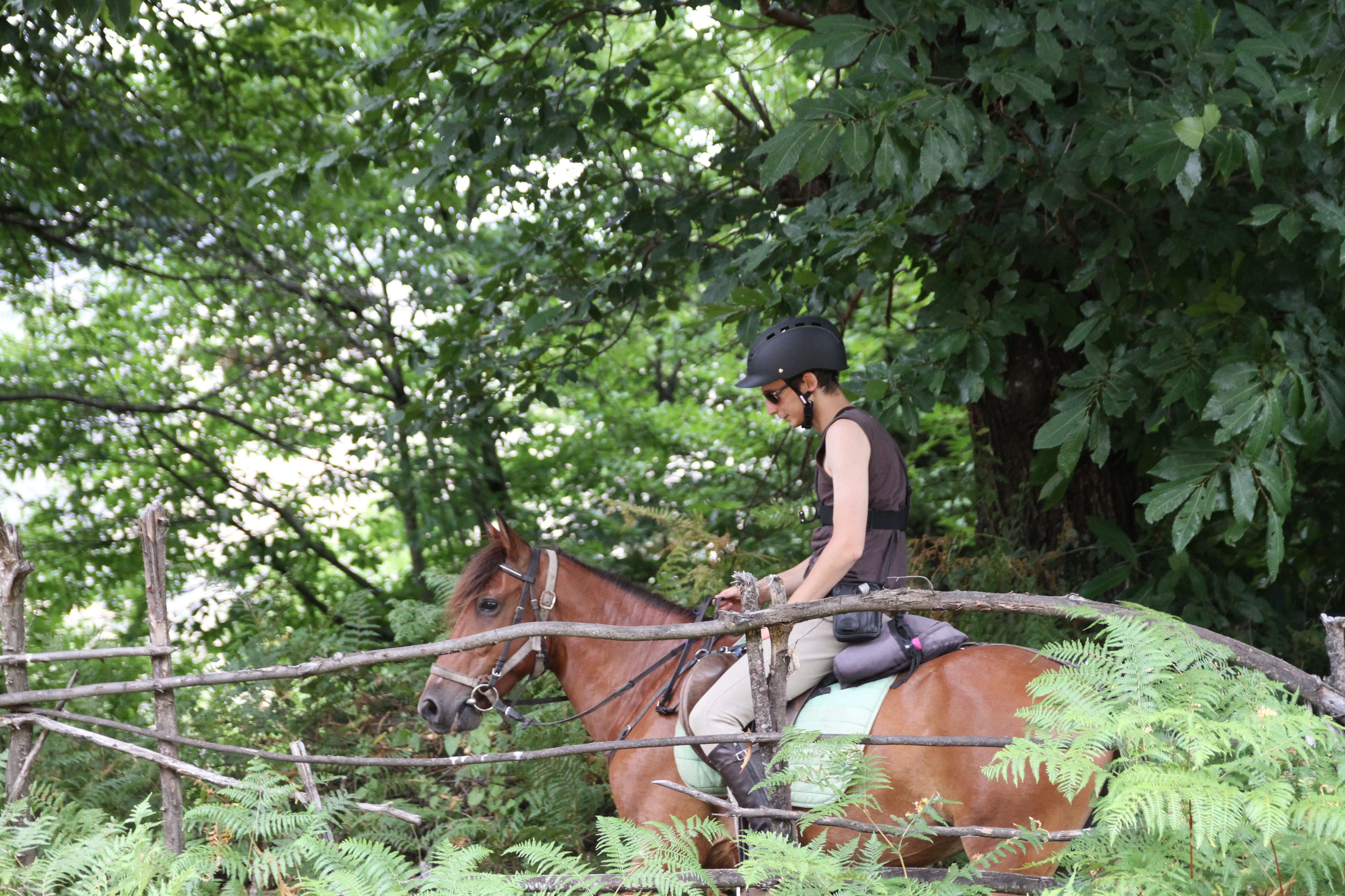 King Skerdilajdi's Army Route