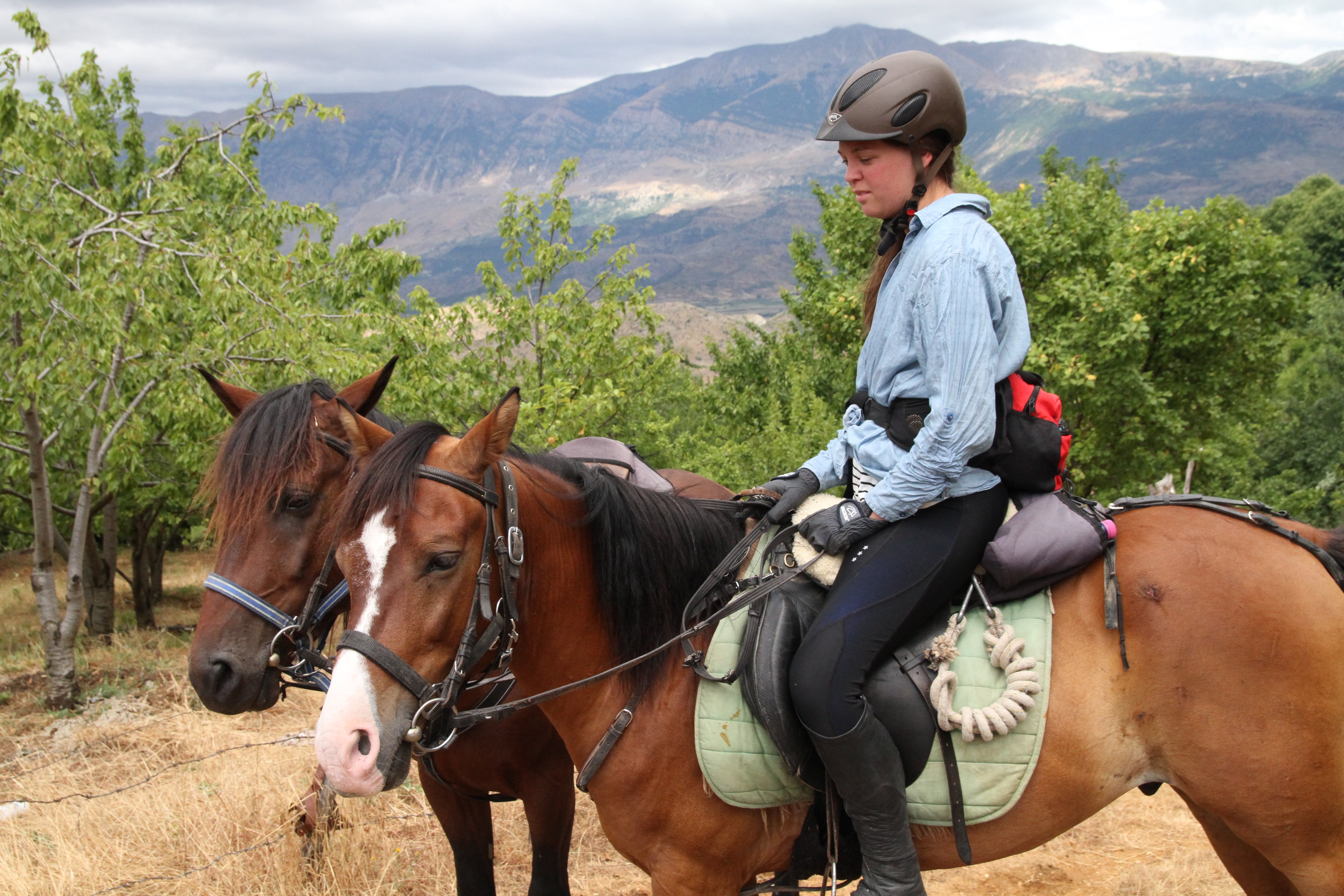 King Skerdilajdi's Army Route