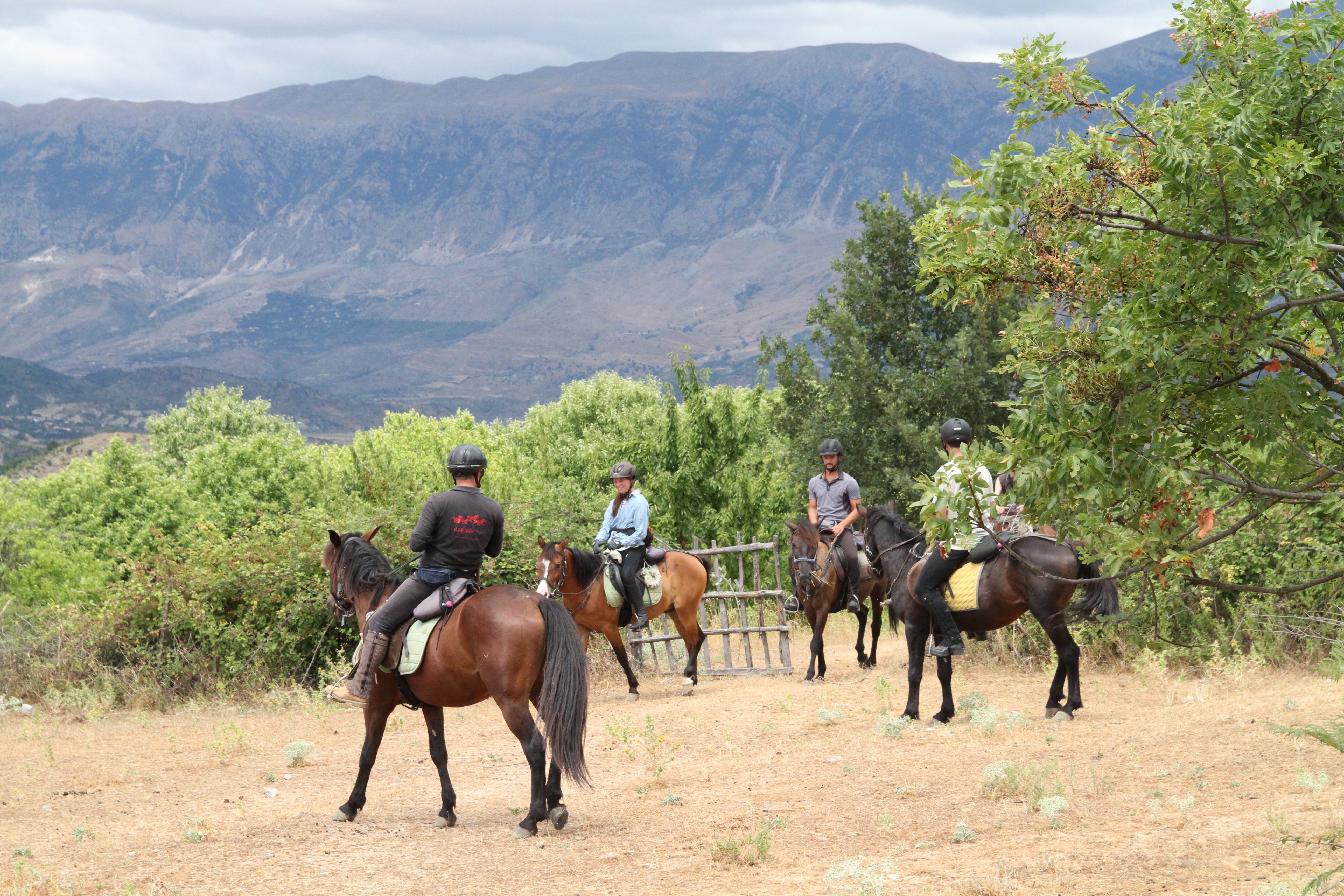 King Skerdilajdi's Army Route