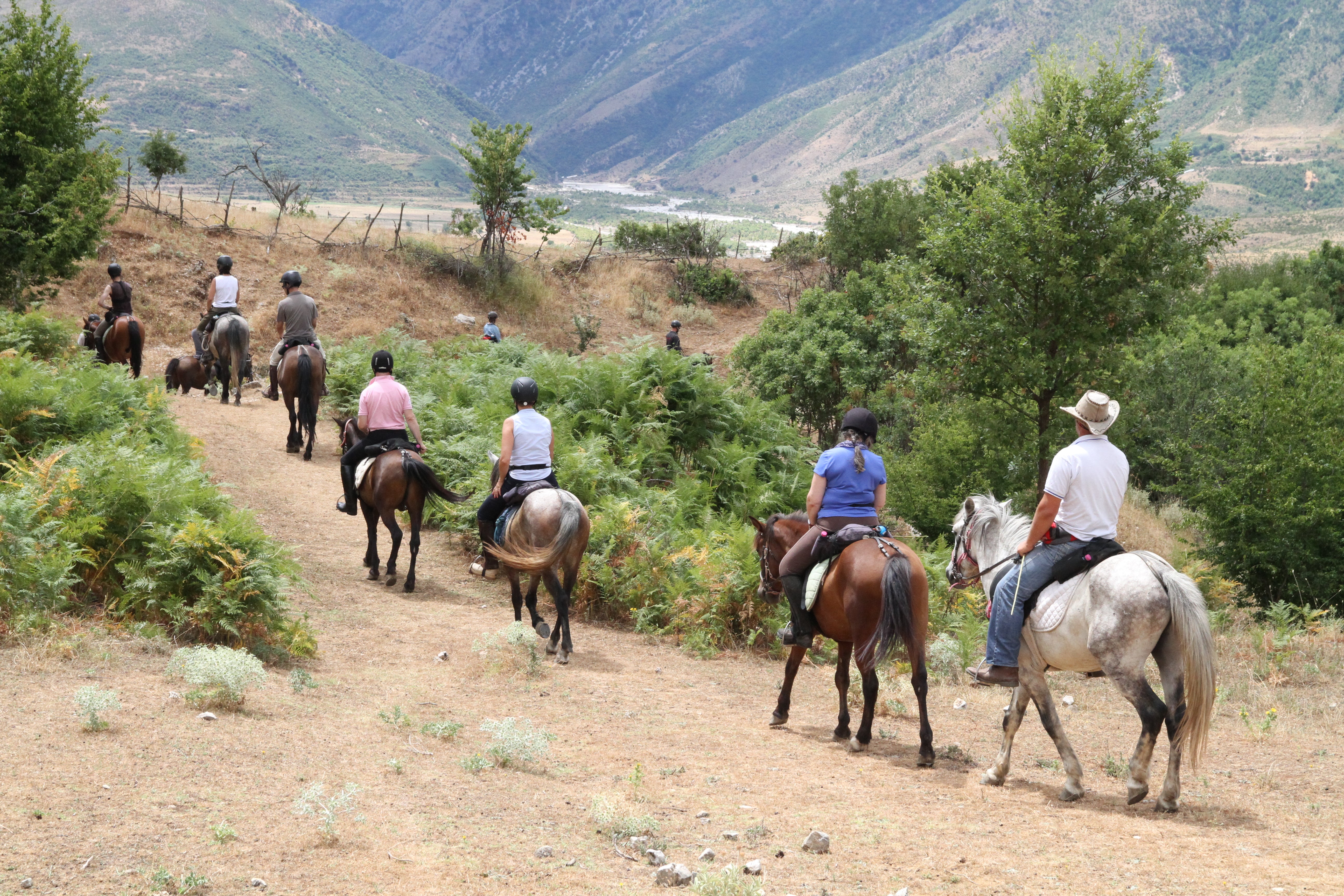 King Skerdilajdi's Army Route