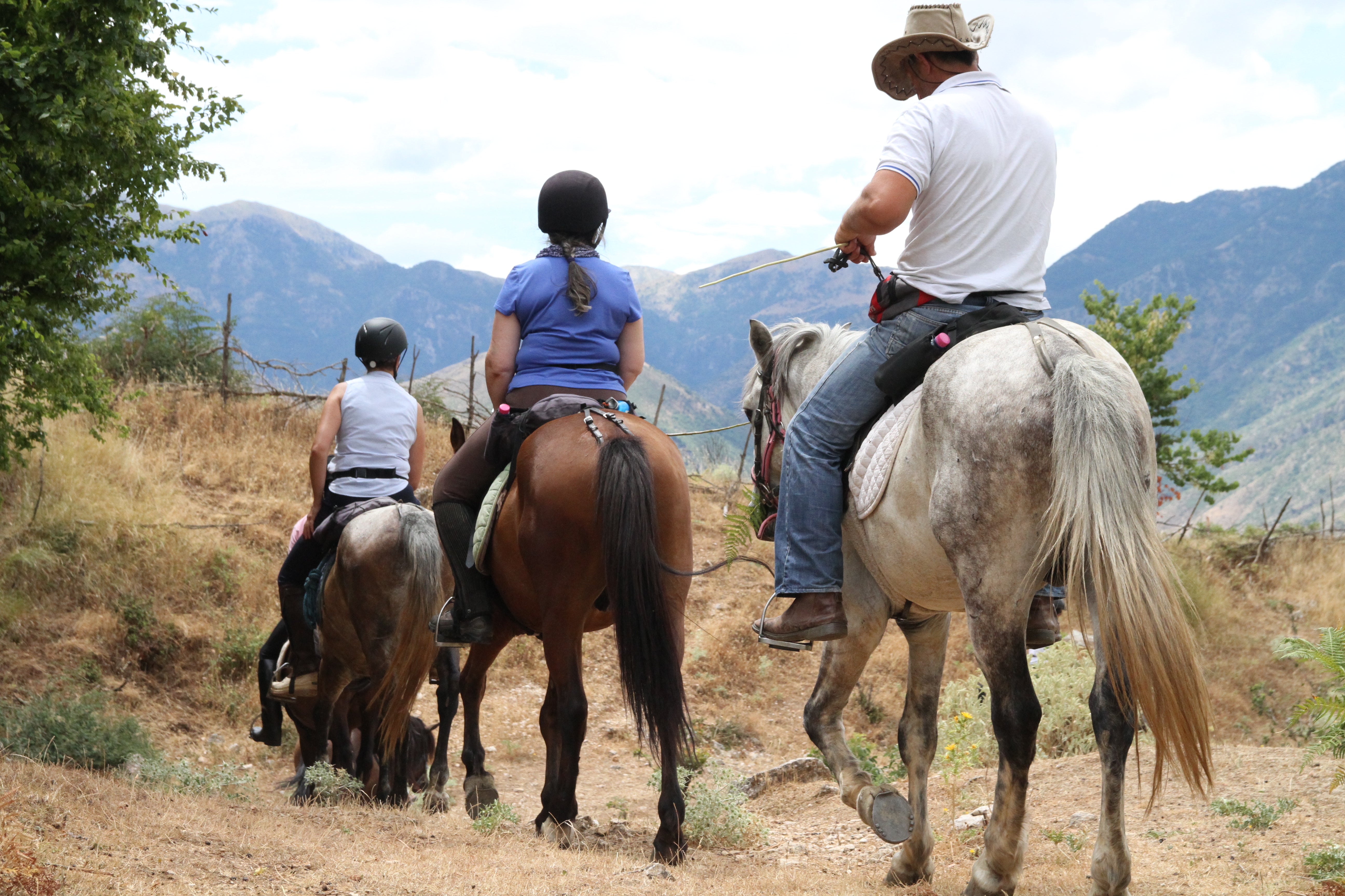 King Skerdilajdi's Army Route