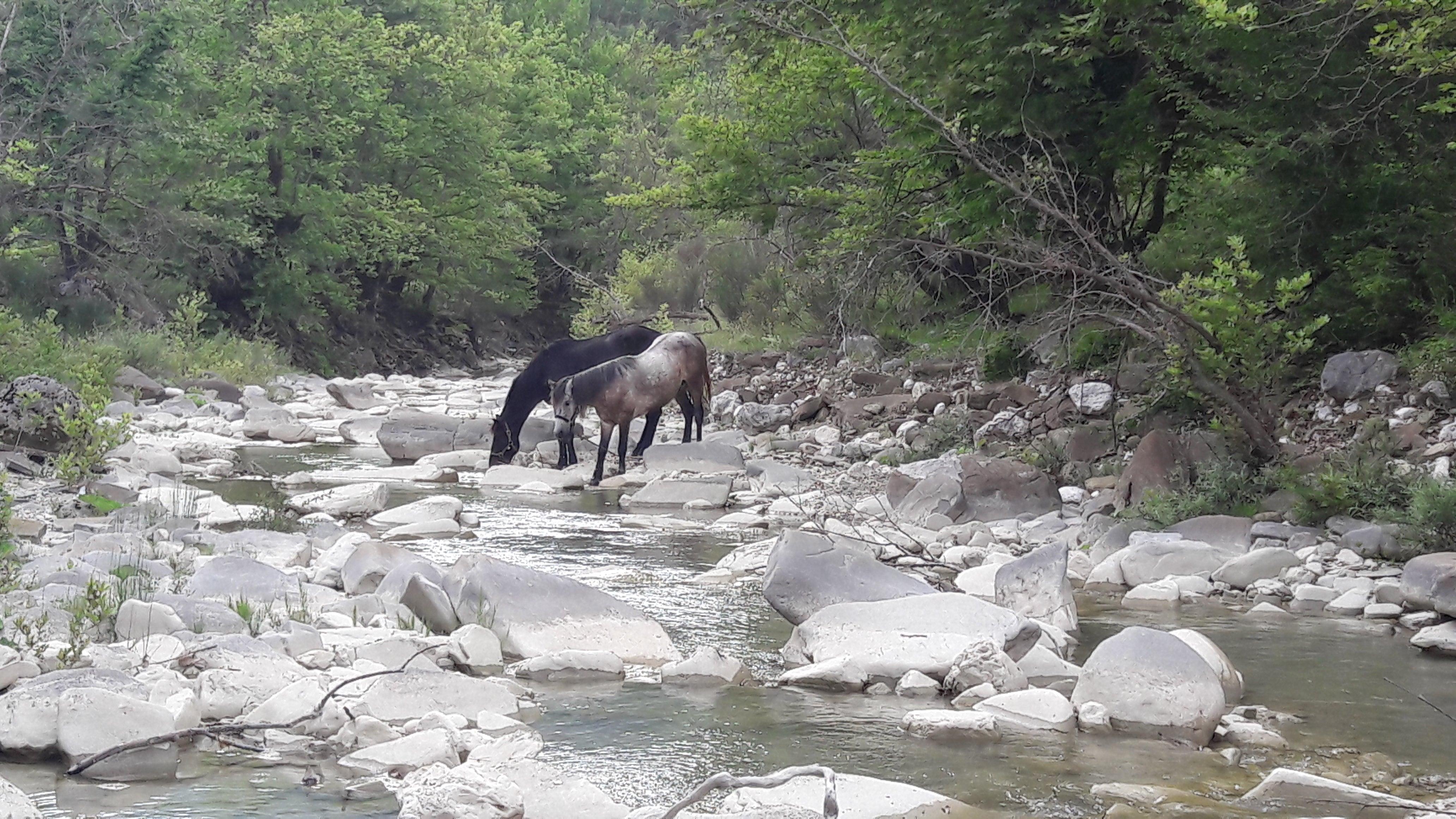 Following Zagoria Pathways - horseXperiences™ GO EQUESTRIAN