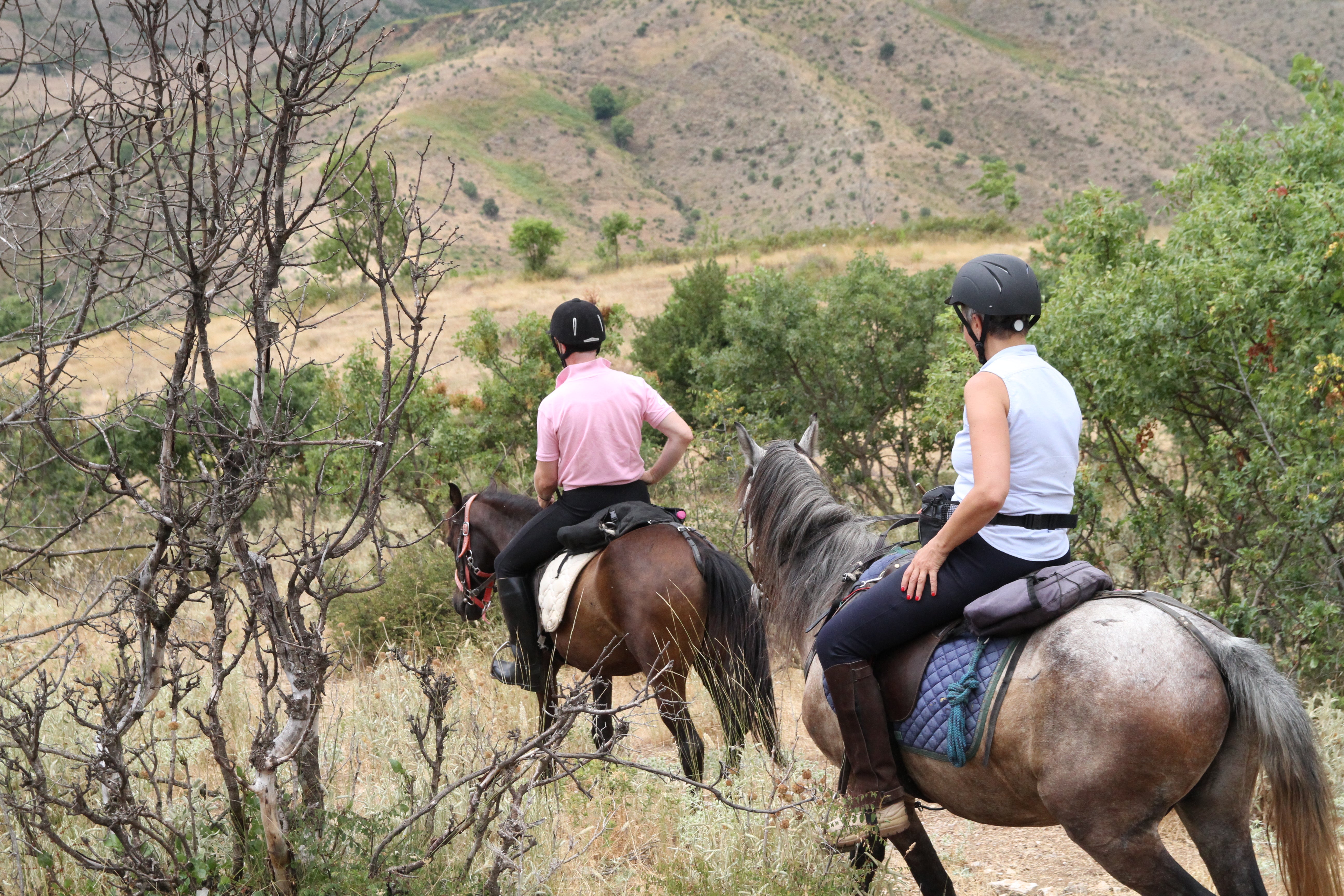 King Skerdilajdi's Army Route