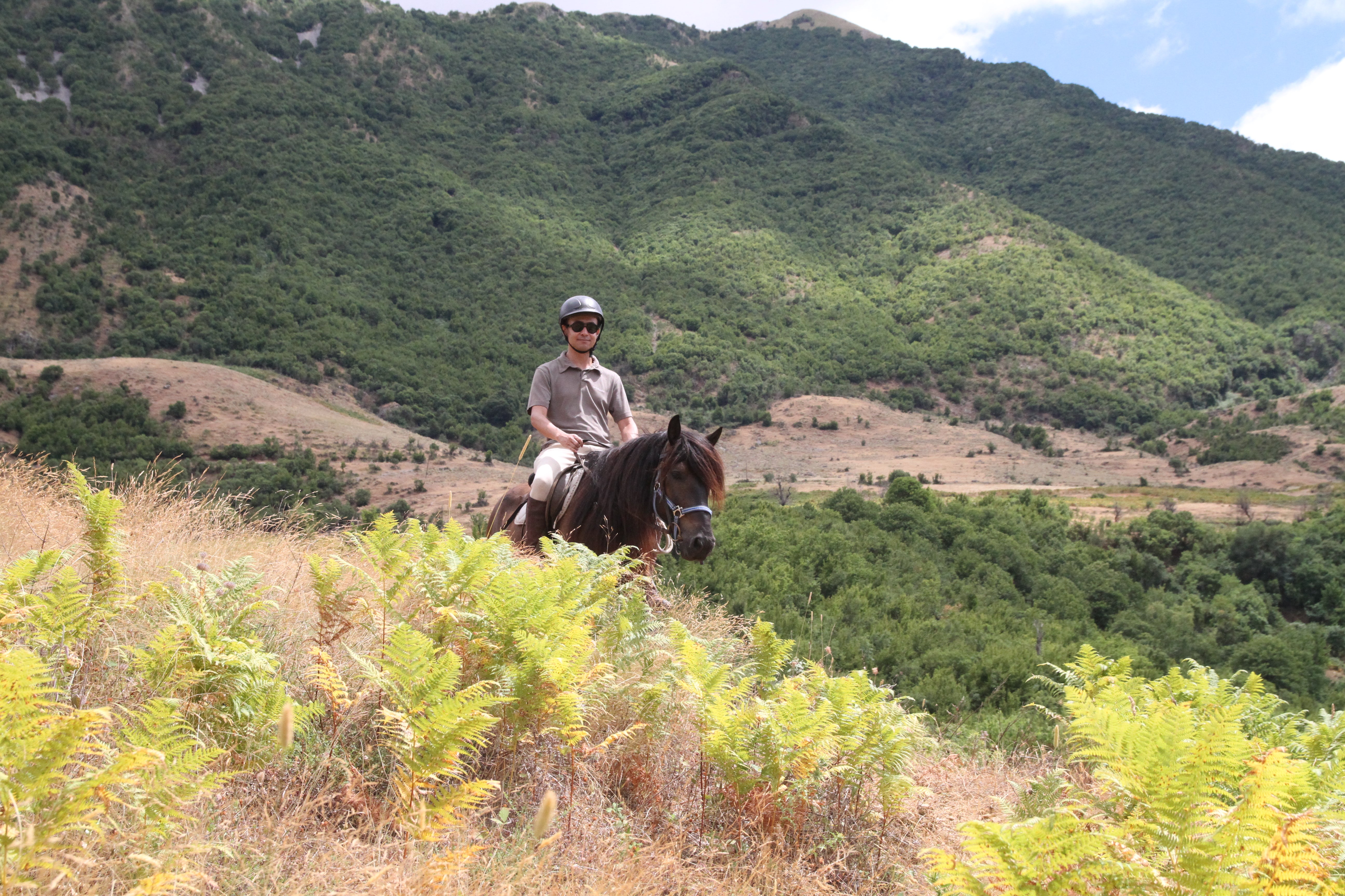 King Skerdilajdi's Army Route