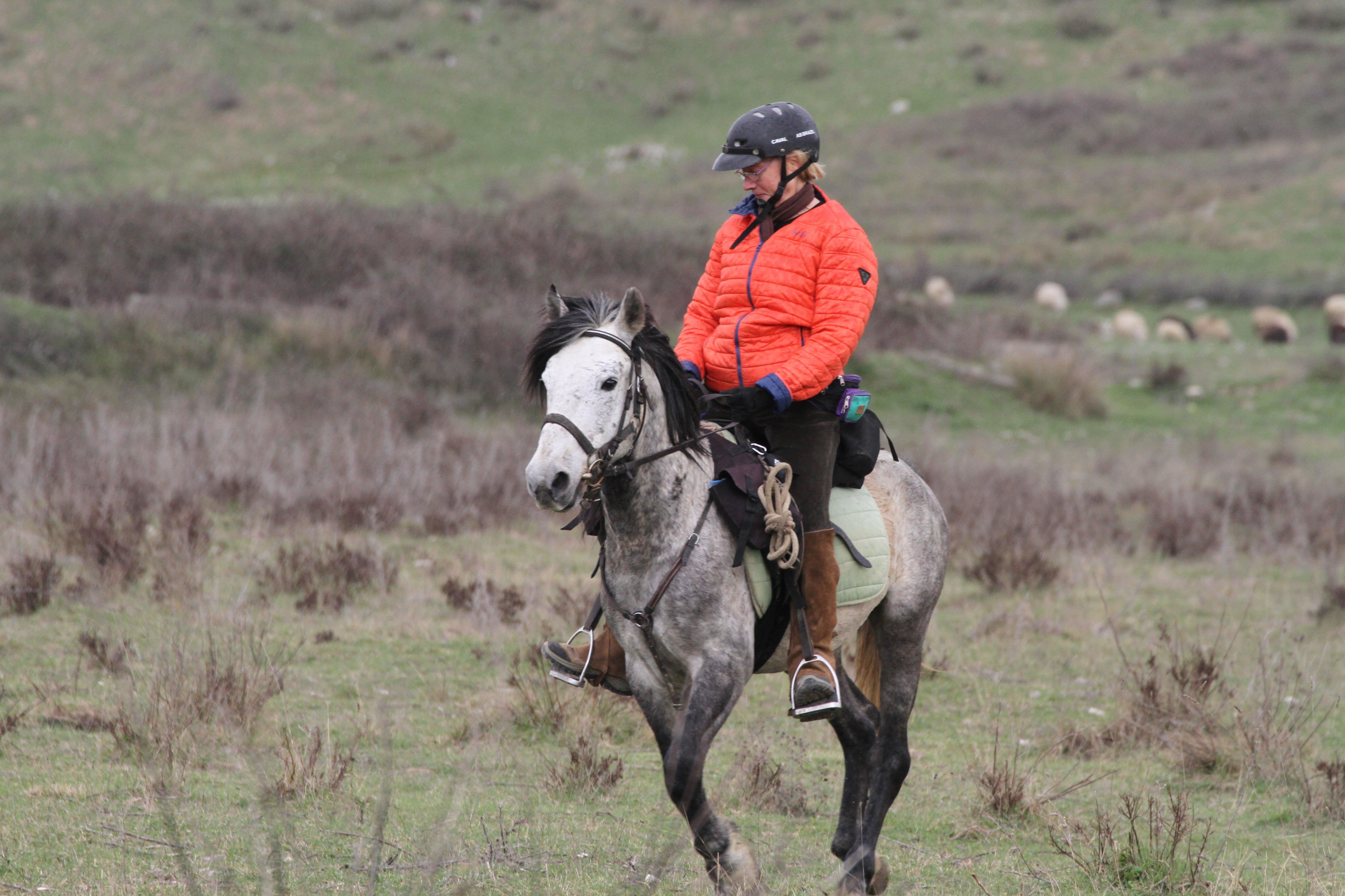 Following Zagoria Pathways - horseXperiences™ GO EQUESTRIAN