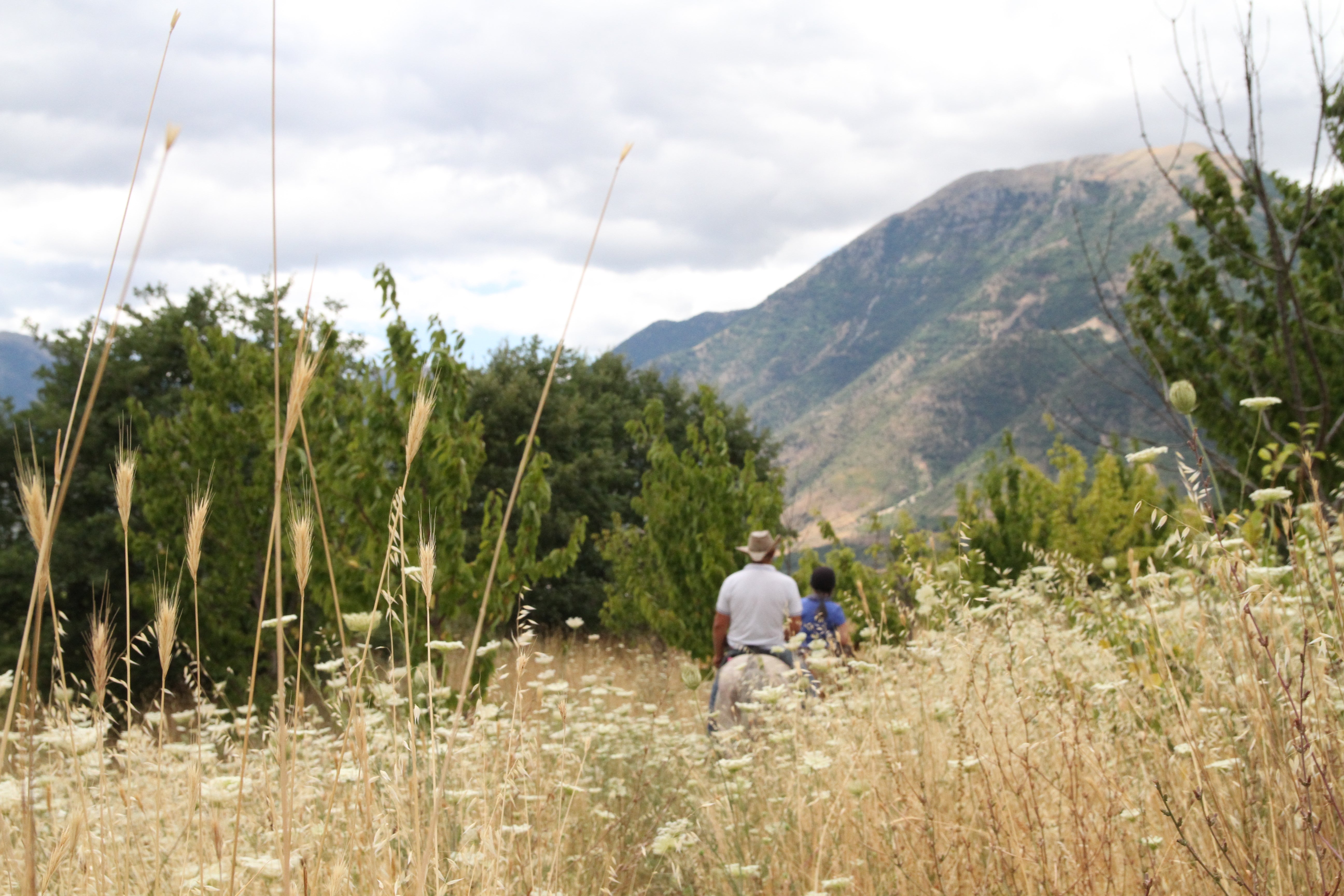 King Skerdilajdi's Army Route