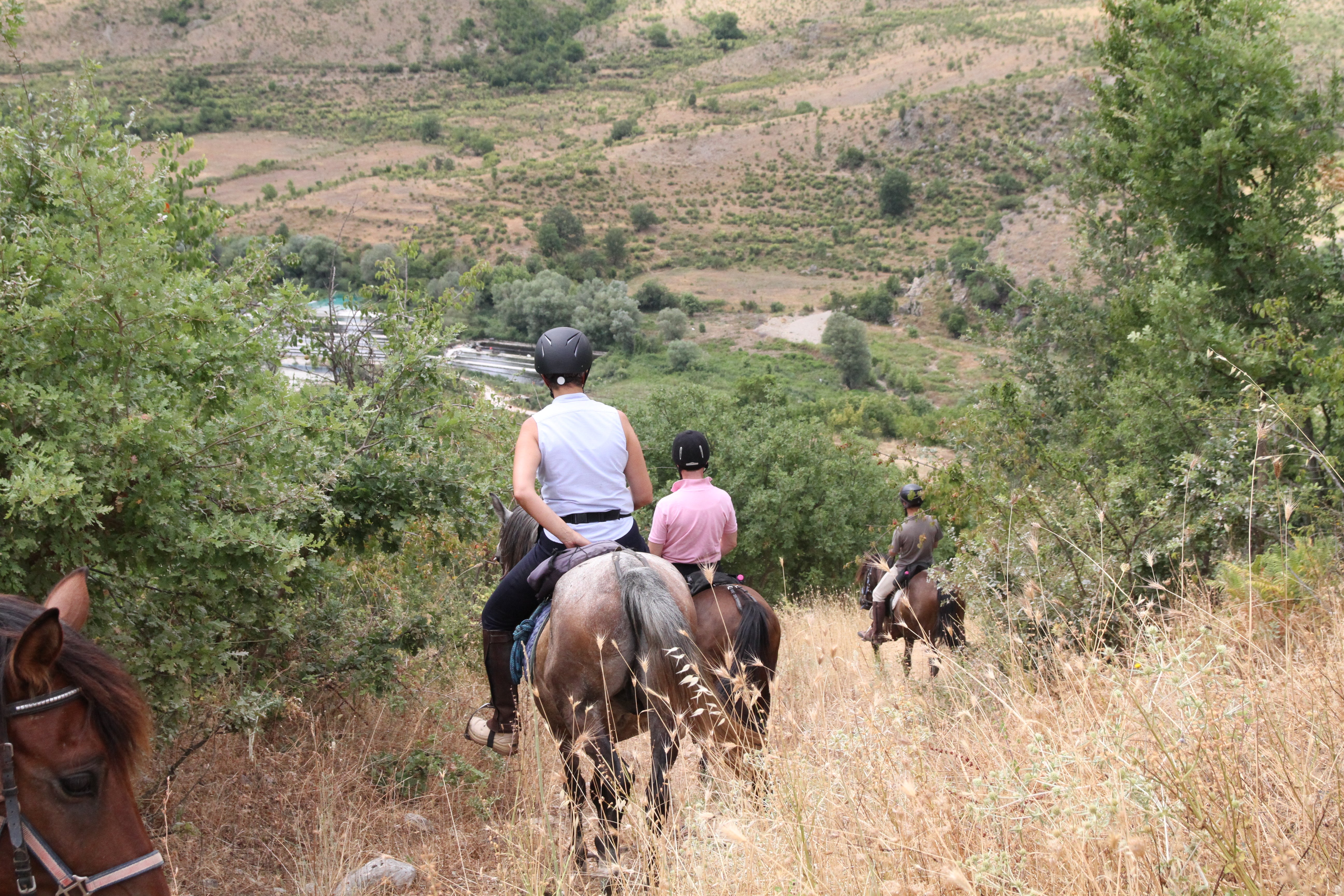 King Skerdilajdi's Army Route
