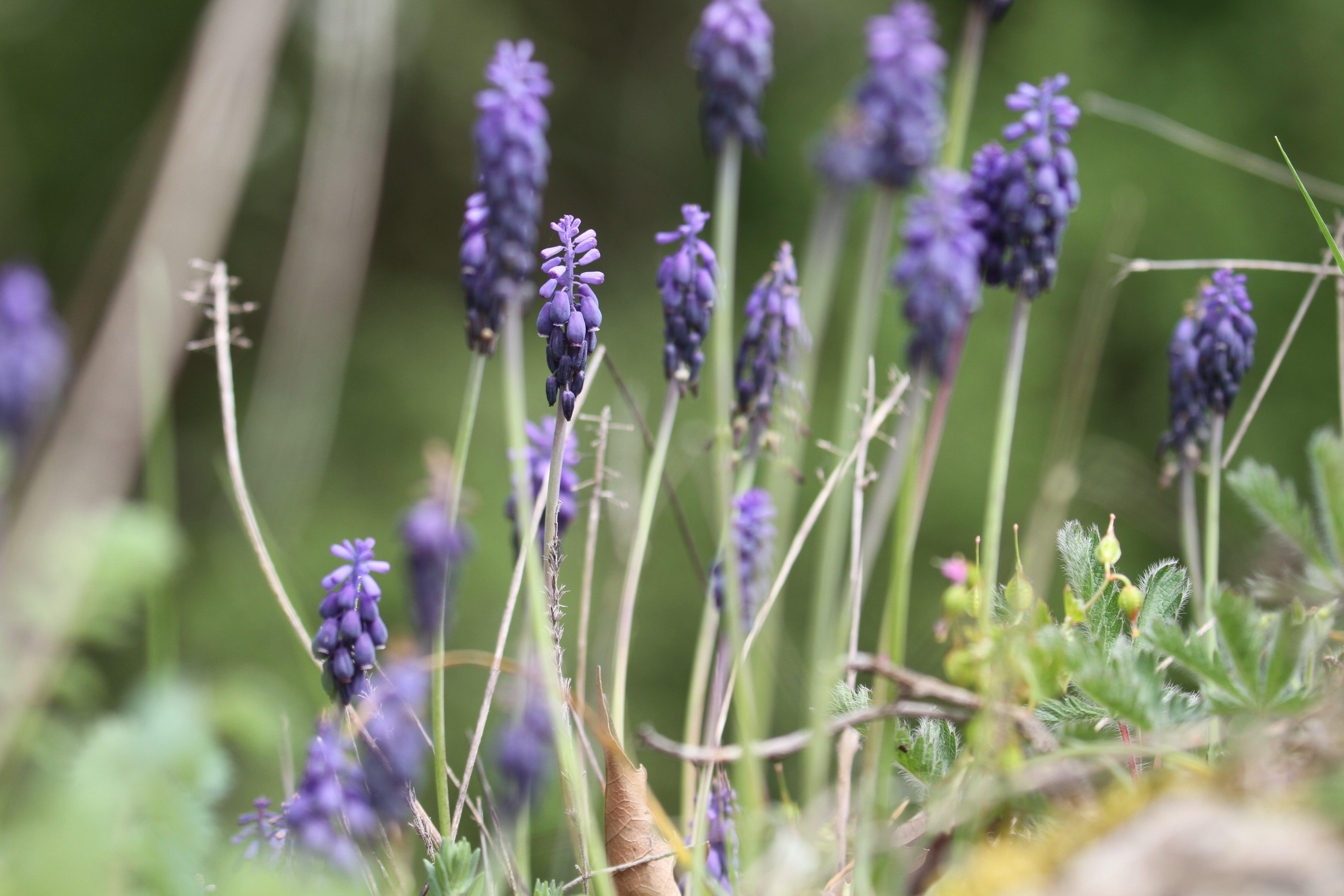 Following Zagoria Pathways - horseXperiences™ GO EQUESTRIAN