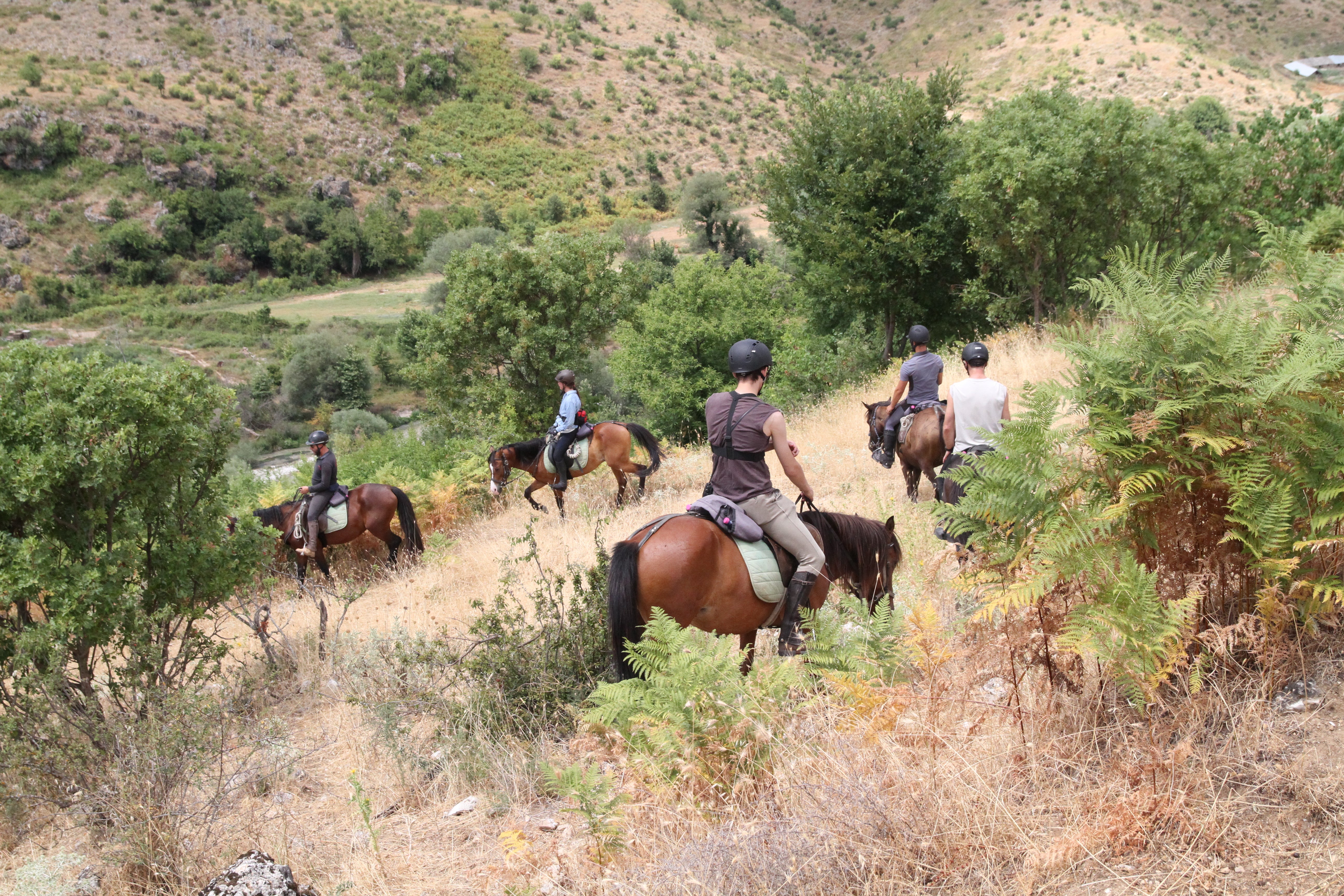 King Skerdilajdi's Army Route