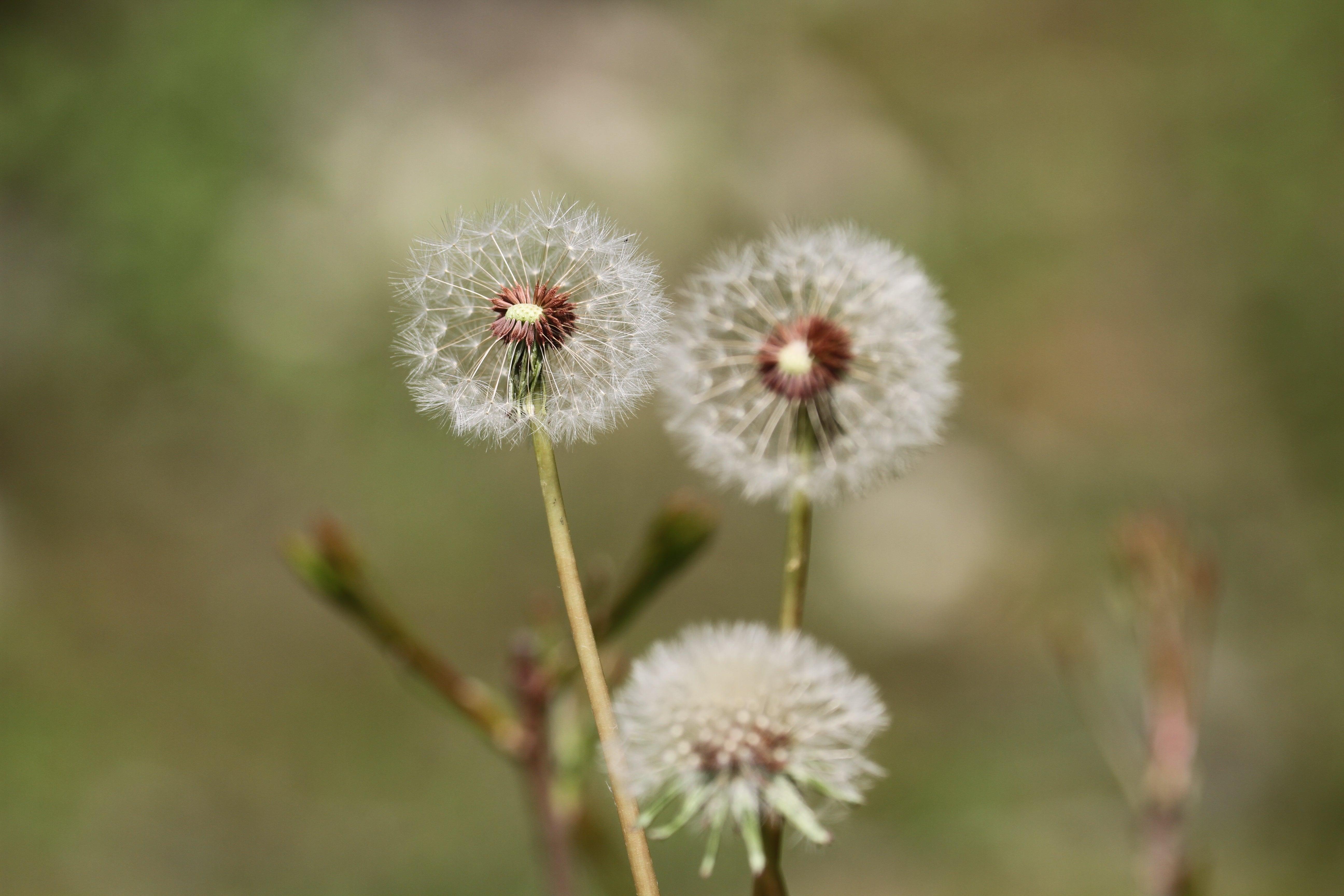 Following Zagoria Pathways - horseXperiences™ GO EQUESTRIAN