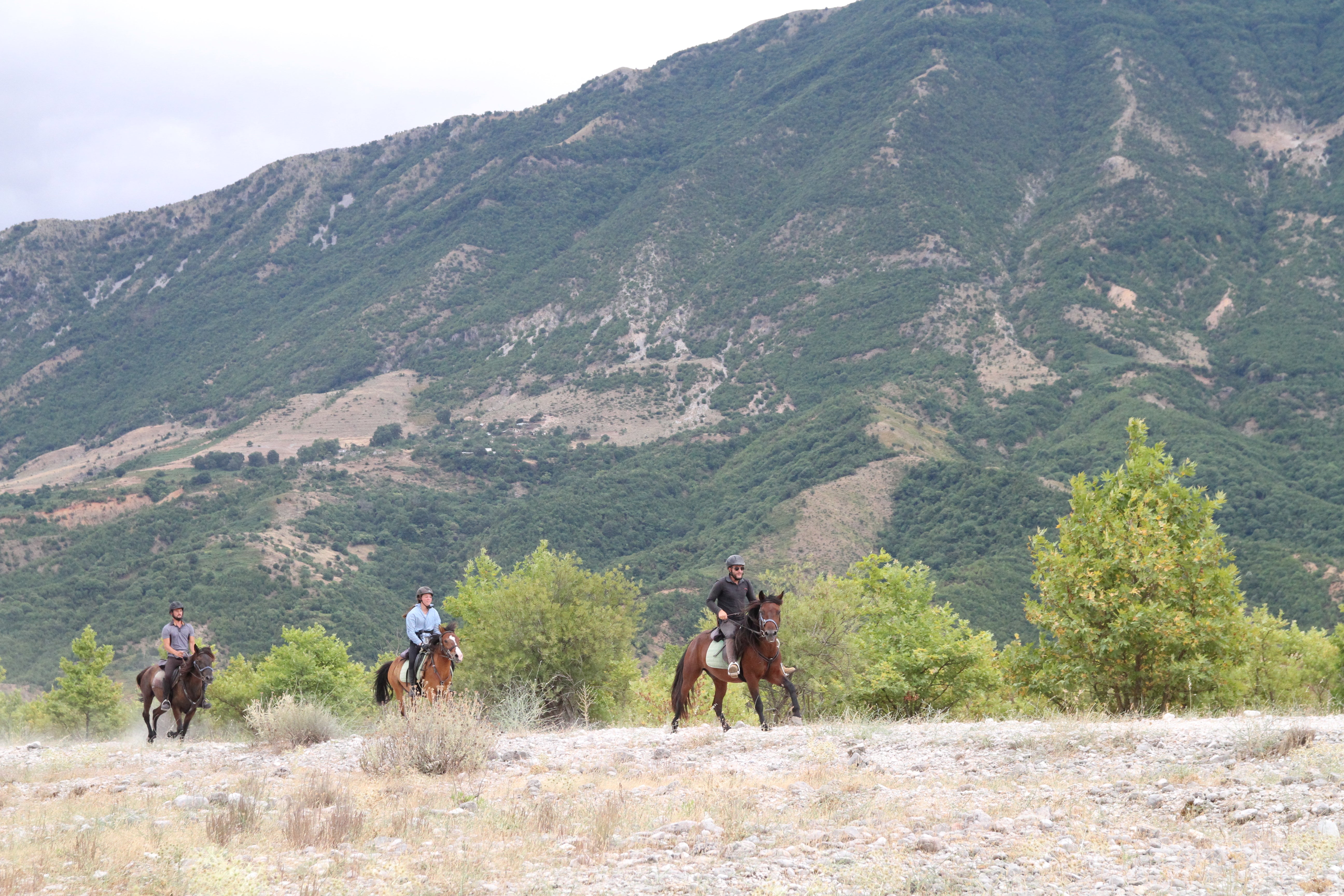 King Skerdilajdi's Army Route