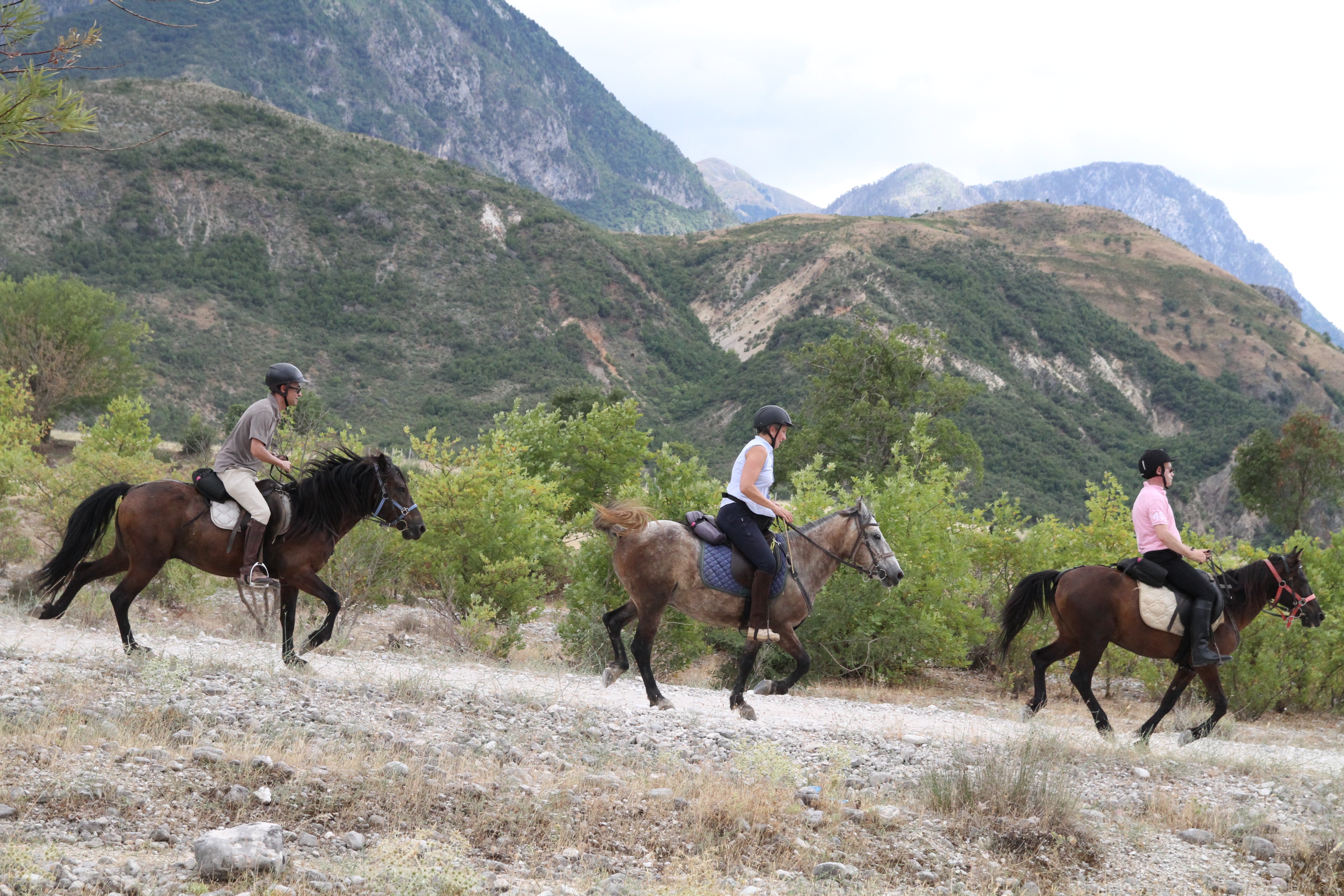 King Skerdilajdi's Army Route