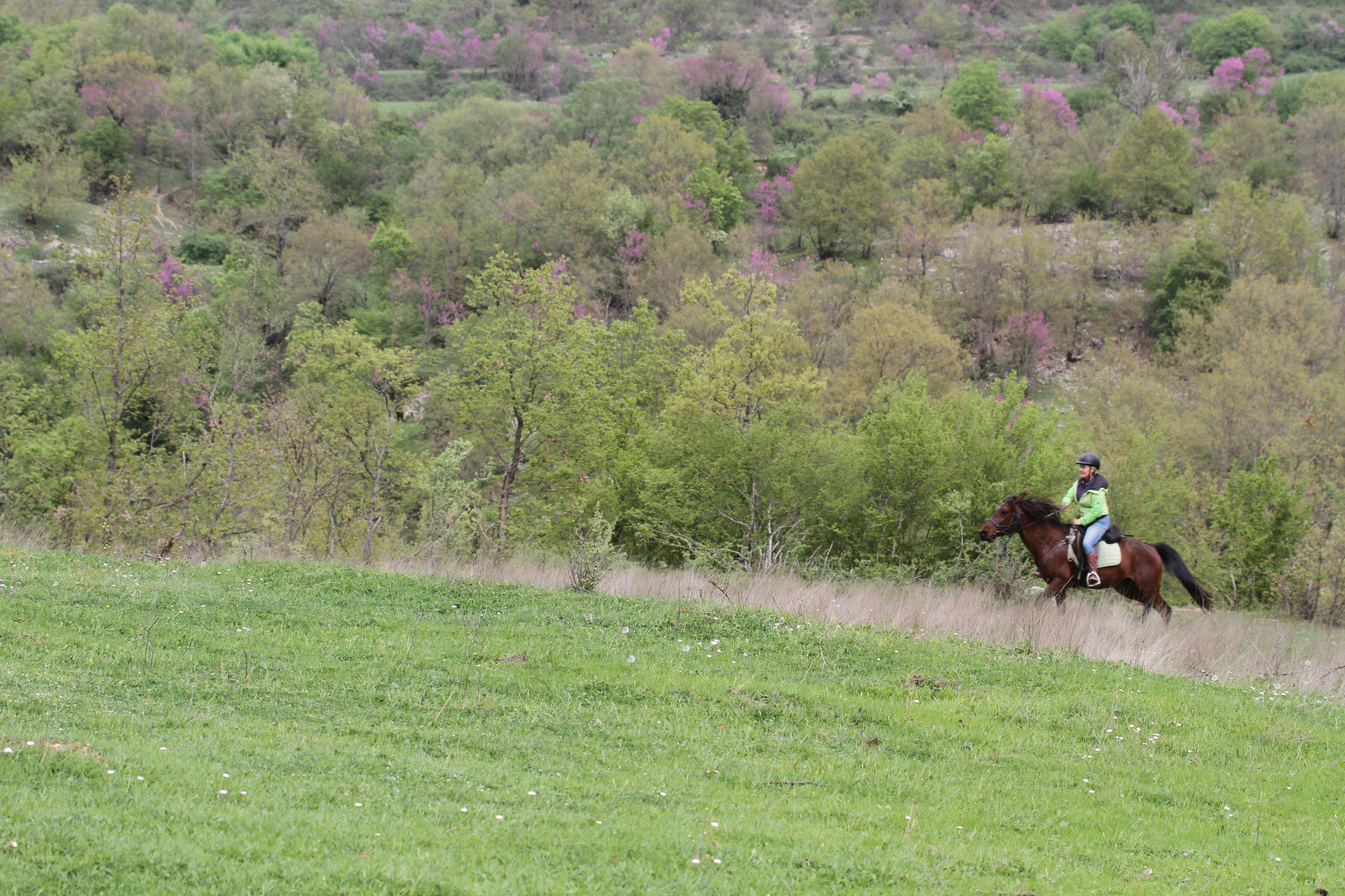 Following Zagoria Pathways - horseXperiences™ GO EQUESTRIAN