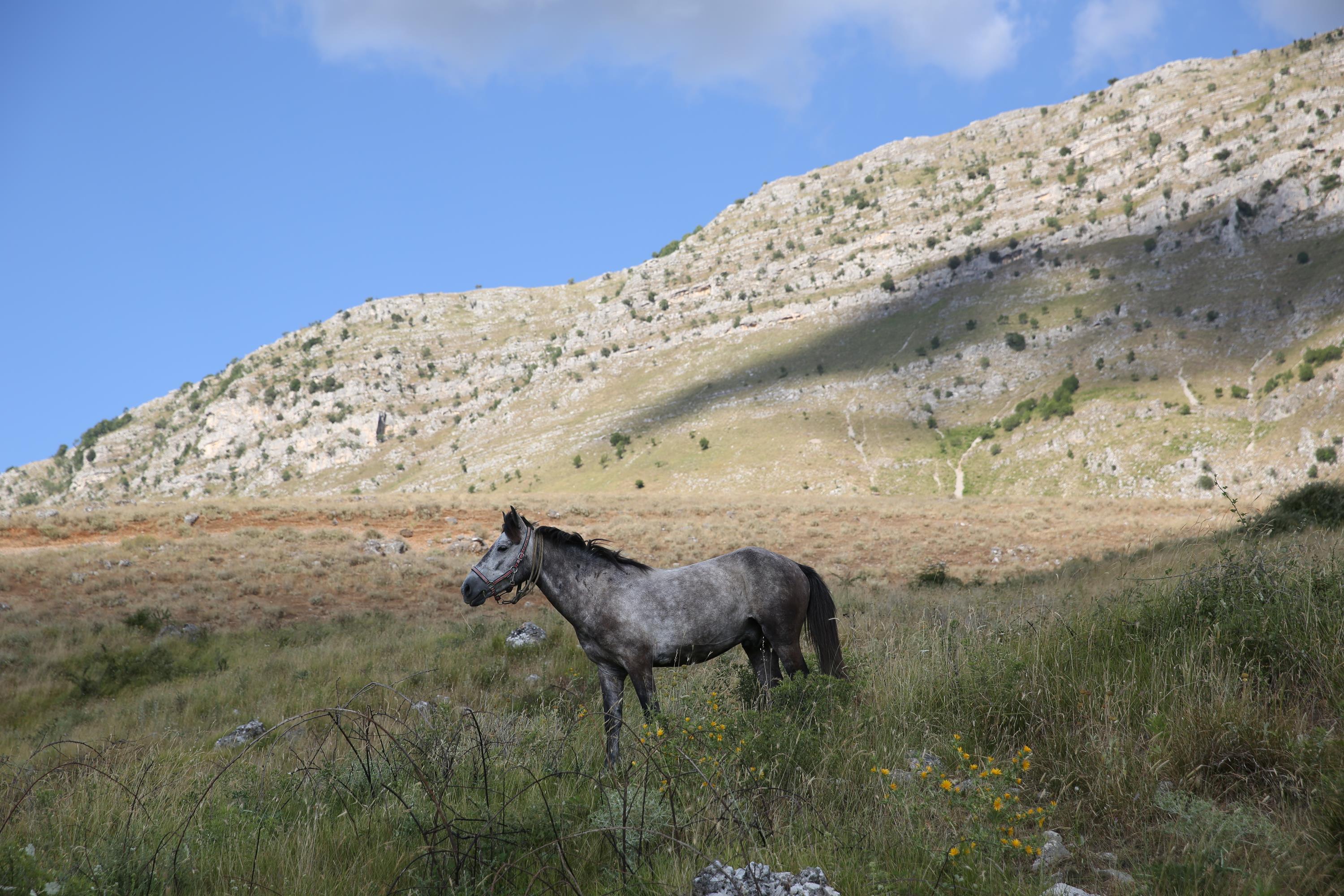 Following Zagoria Pathways - horseXperiences™ GO EQUESTRIAN