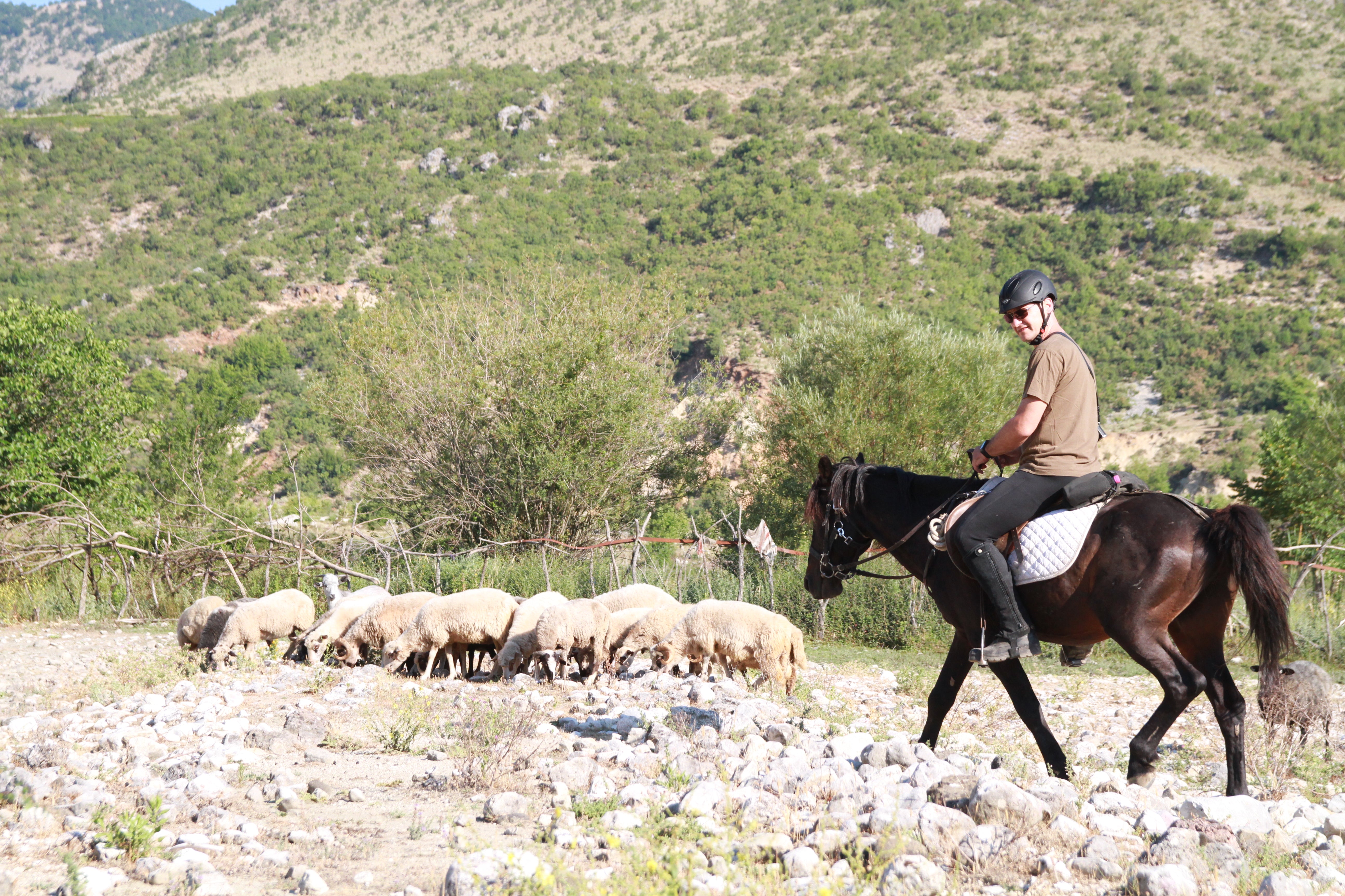 King Skerdilajdi's Army Route