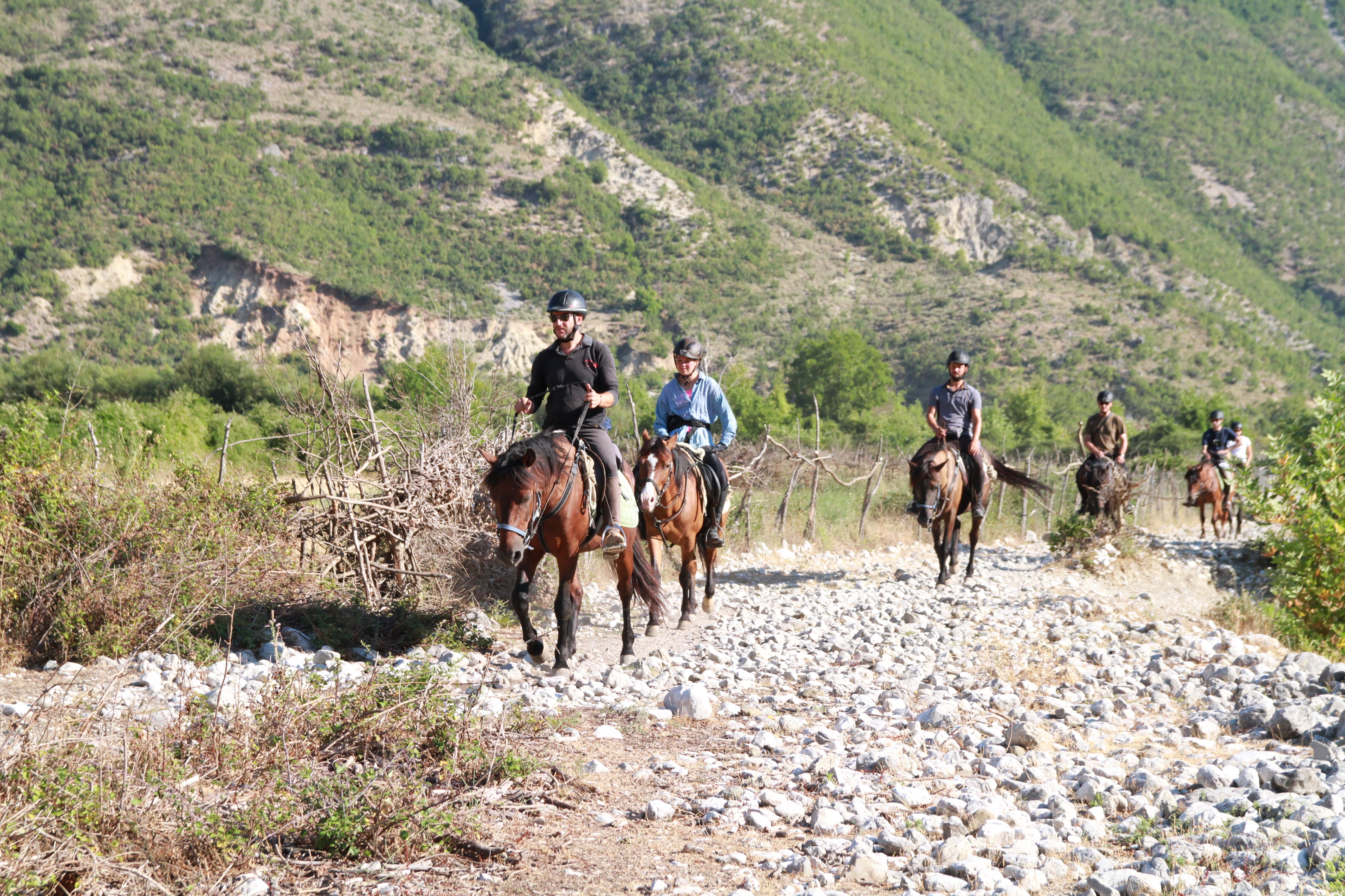 King Skerdilajdi's Army Route