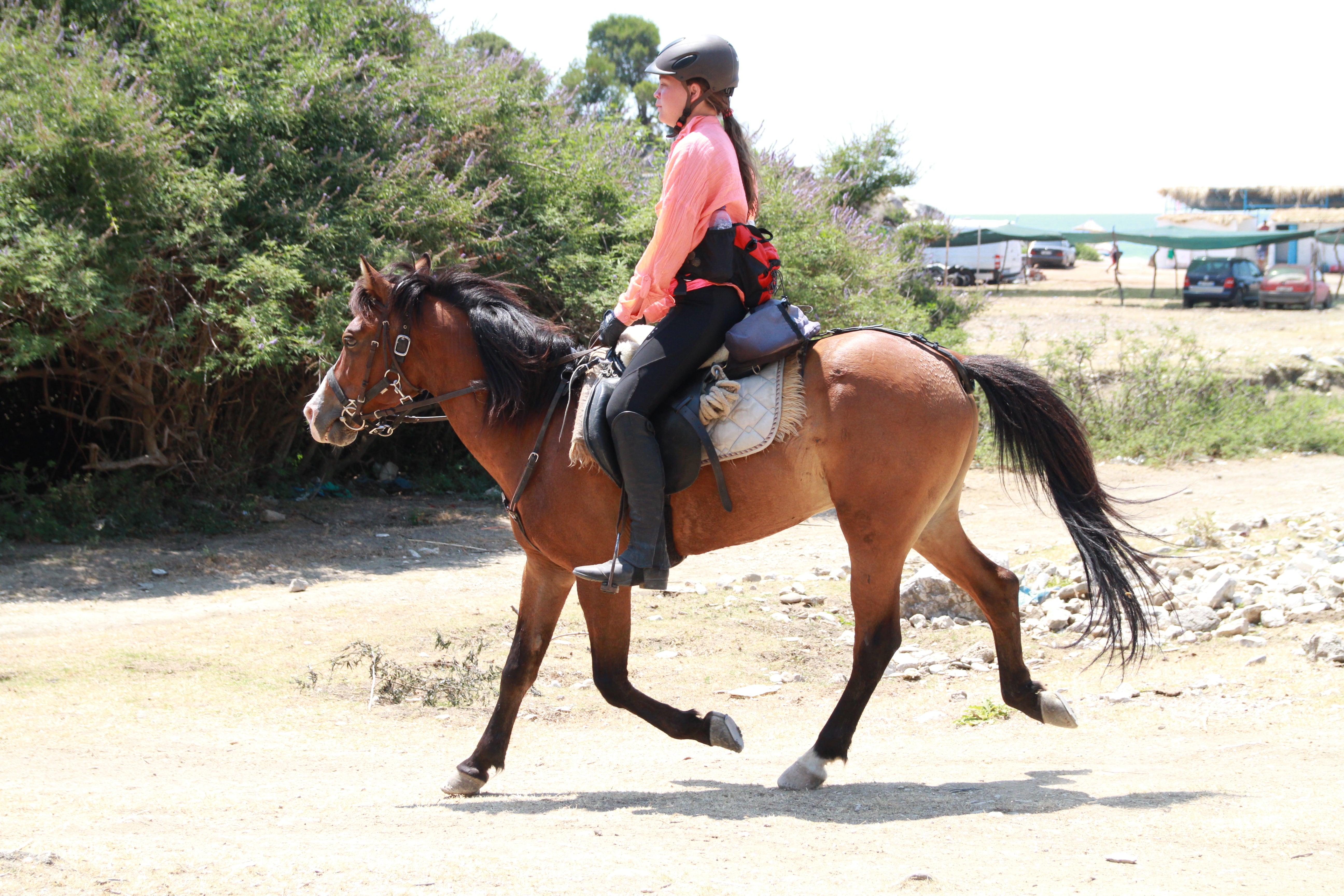 King Skerdilajdi's Army Route