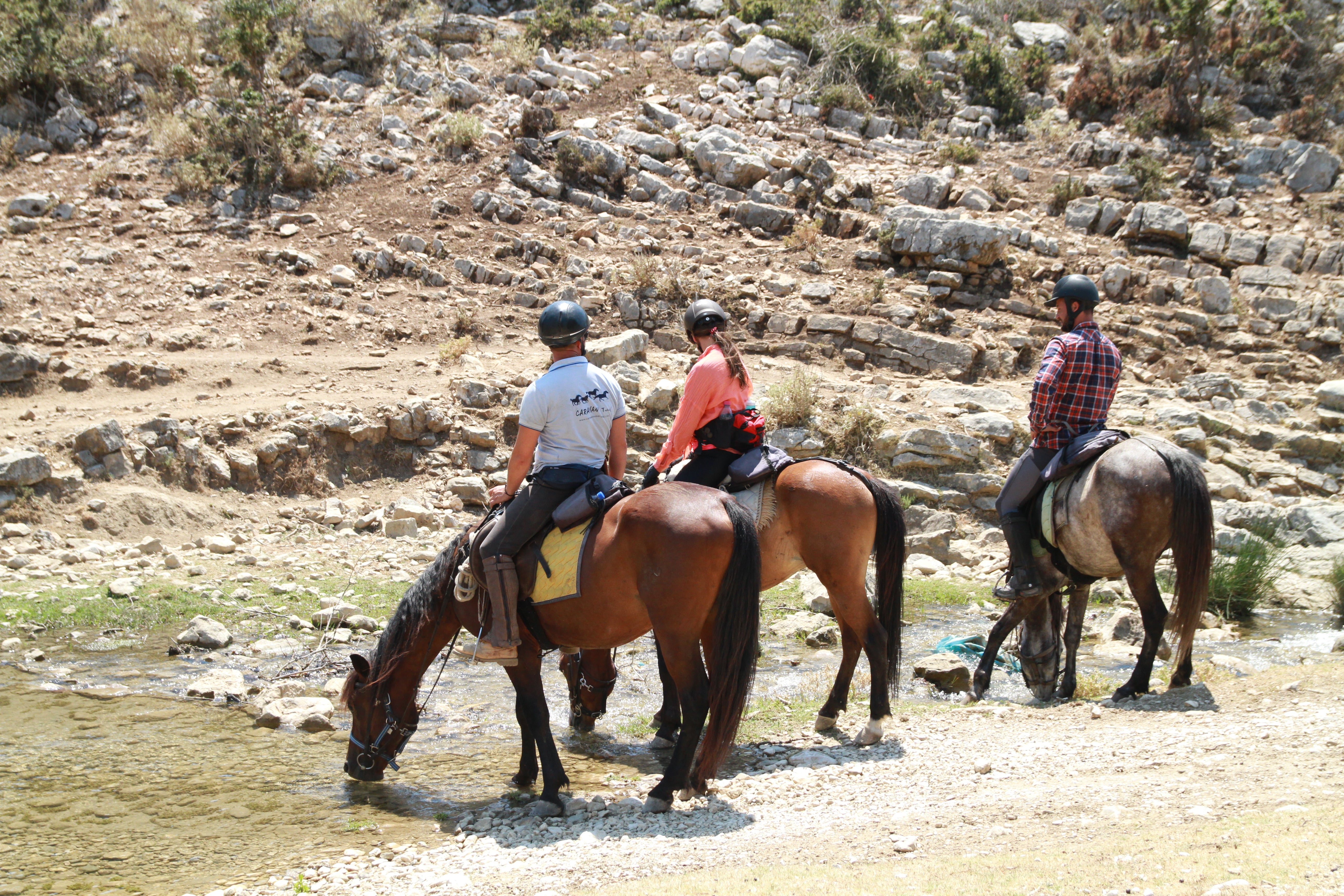 King Skerdilajdi's Army Route