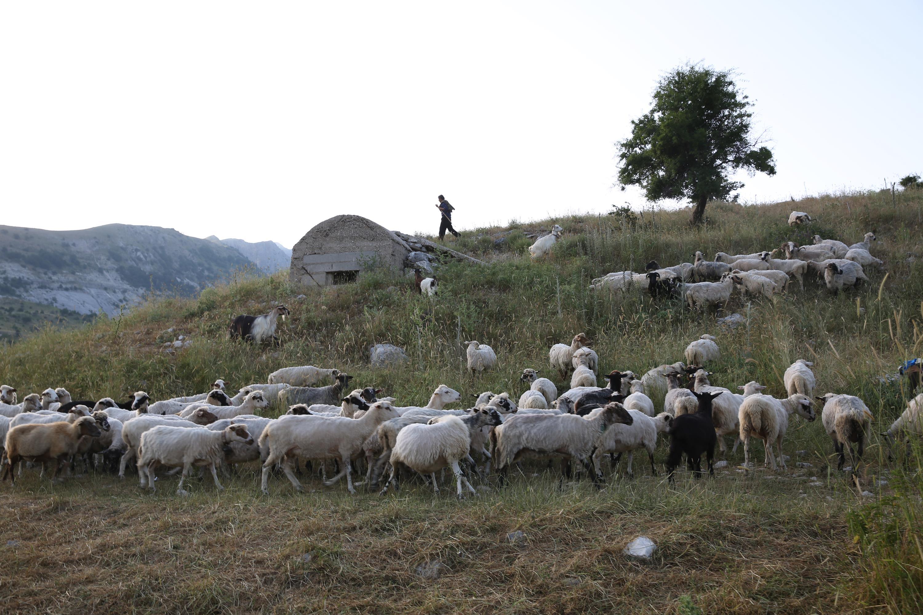 Following Zagoria Pathways - horseXperiences™ GO EQUESTRIAN